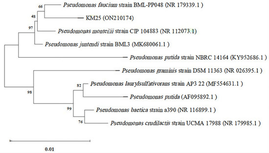 Screening and Identification of Cadmium-Tolerant, Plant