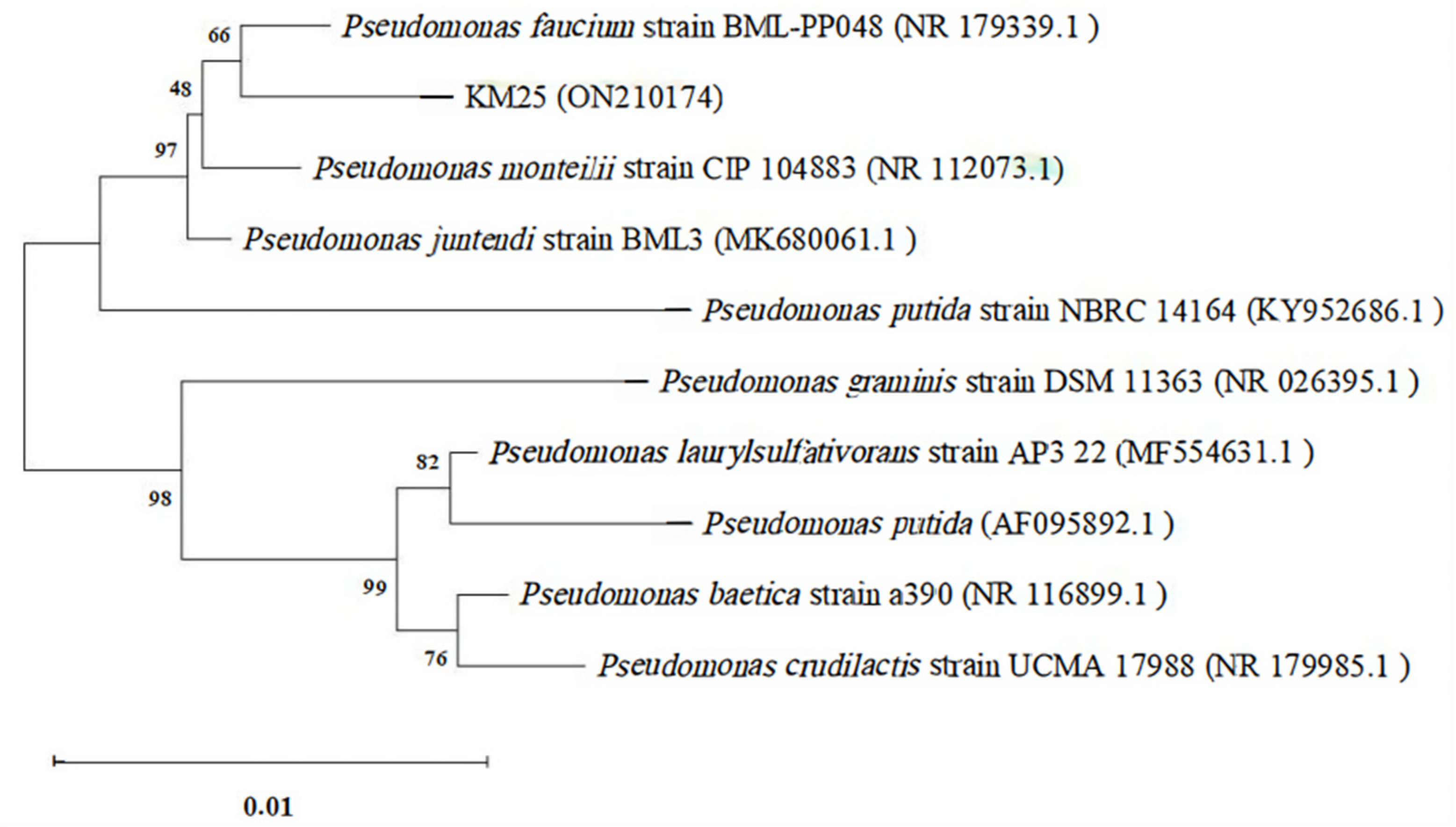 Plants 14 02343 g001