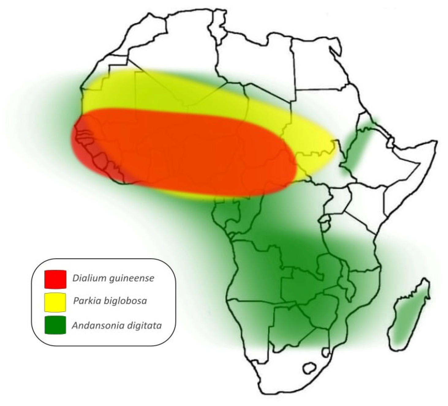 Plants 14 02344 g001