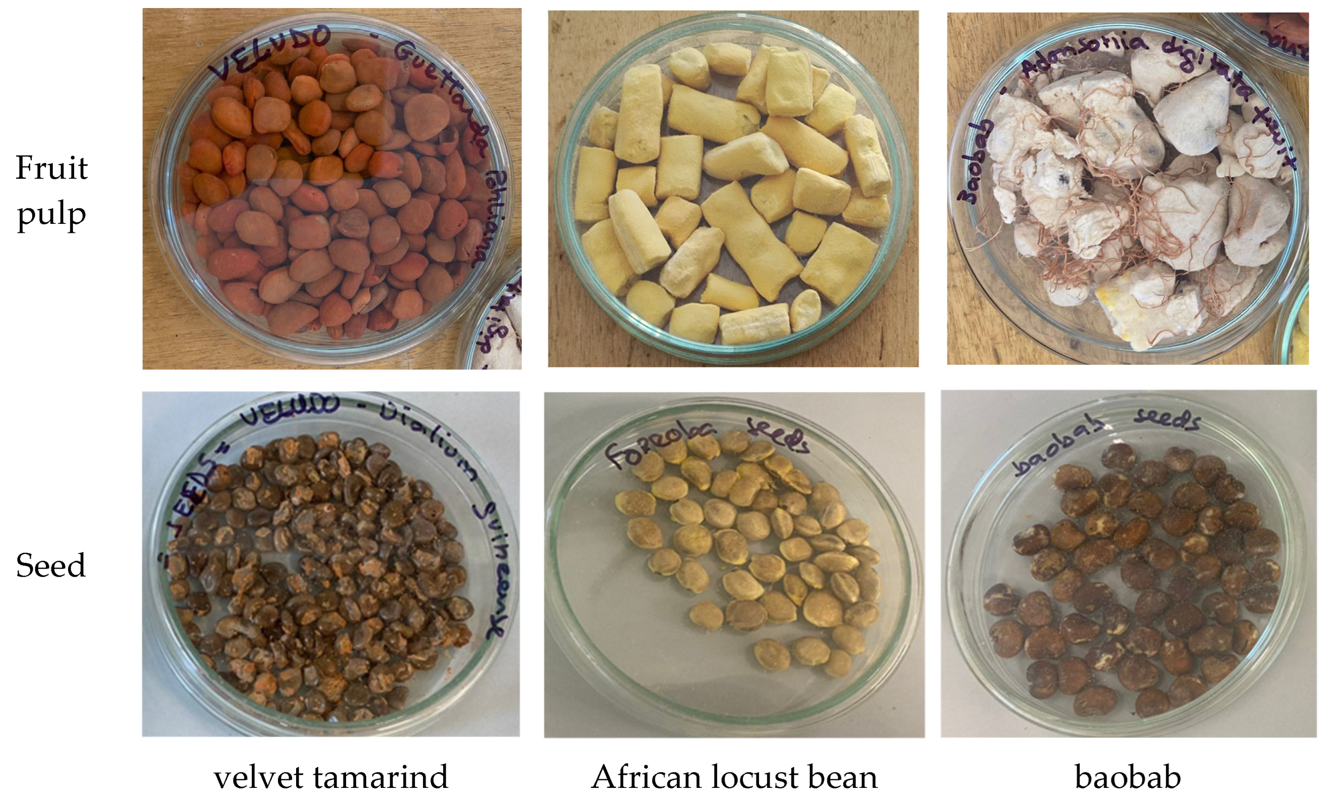 Plants 14 02344 g002