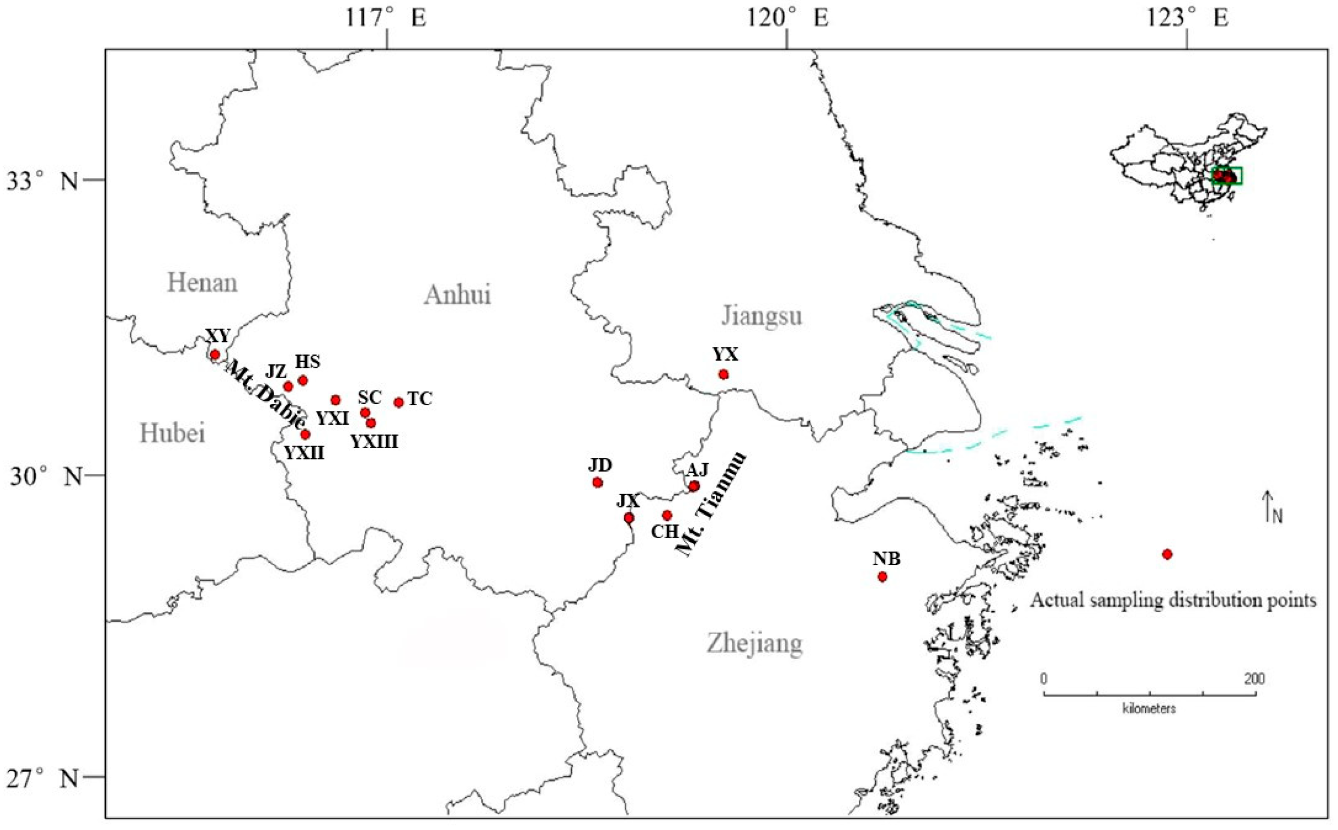 Plants 14 02345 g001