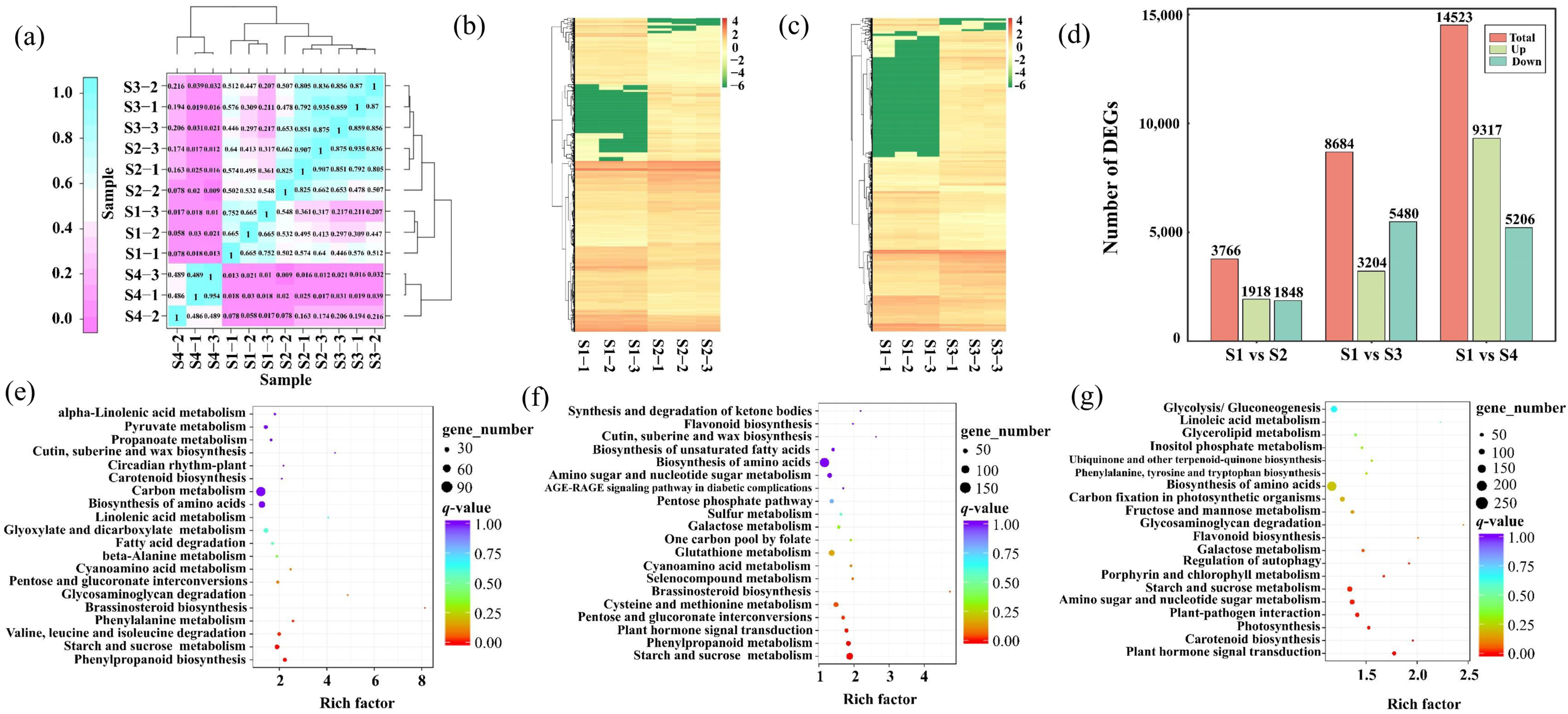 Plants 14 02345 g004