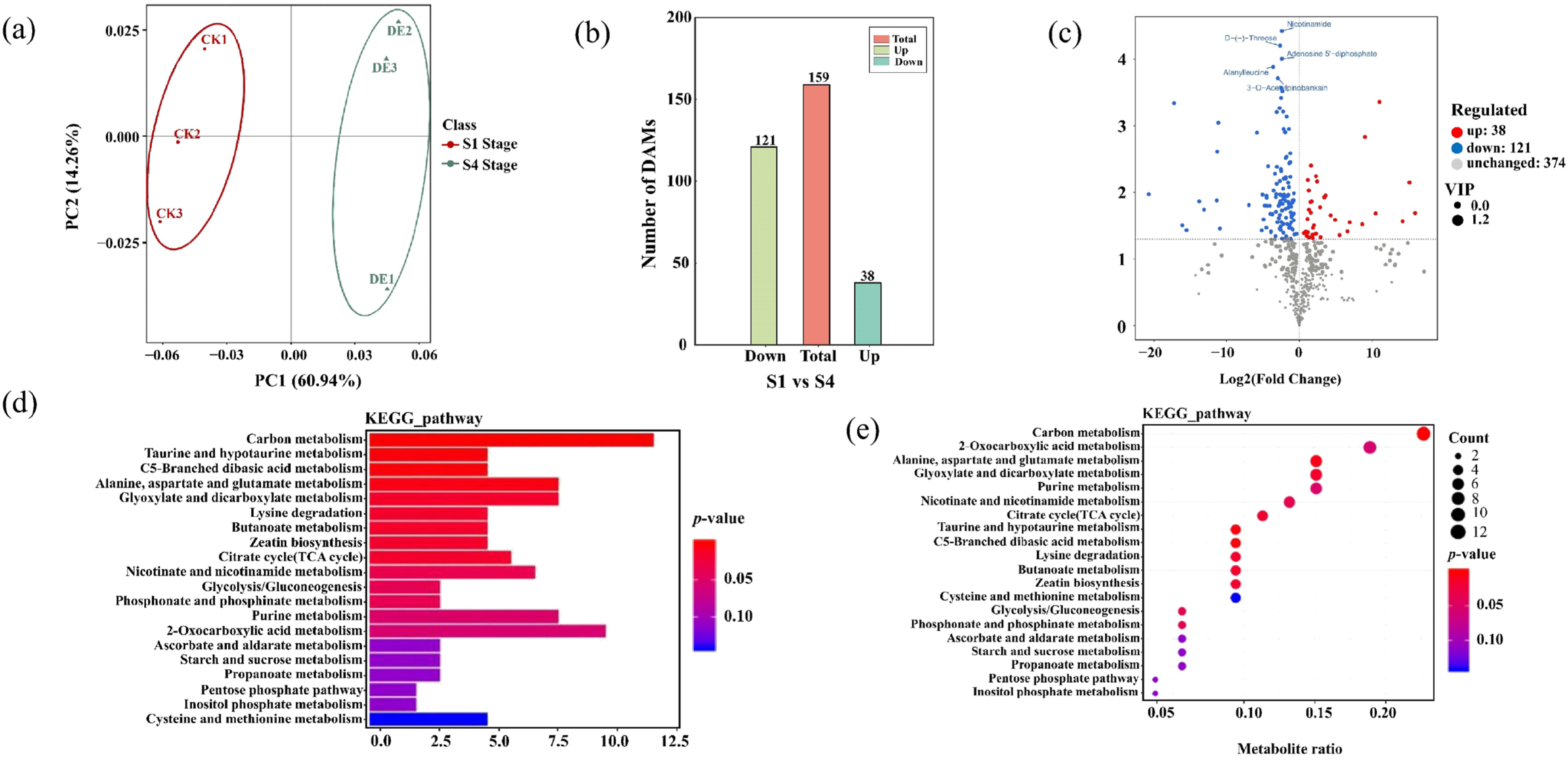 Plants 14 02345 g006