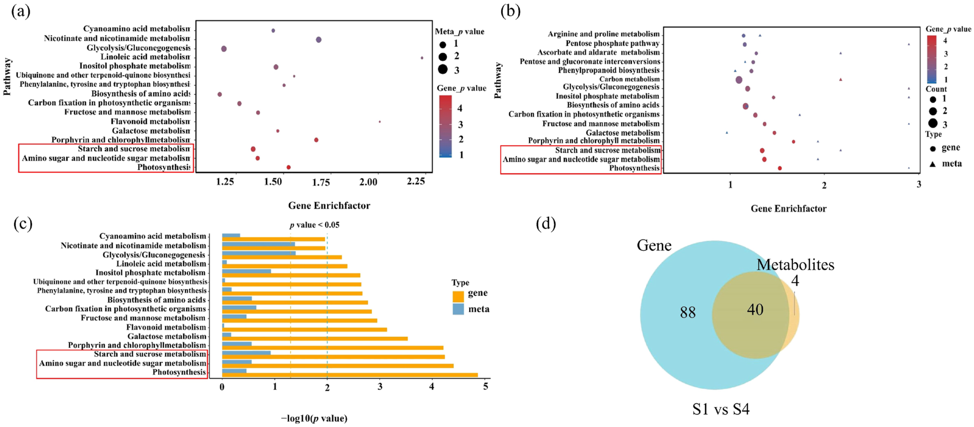 Plants 14 02345 g007