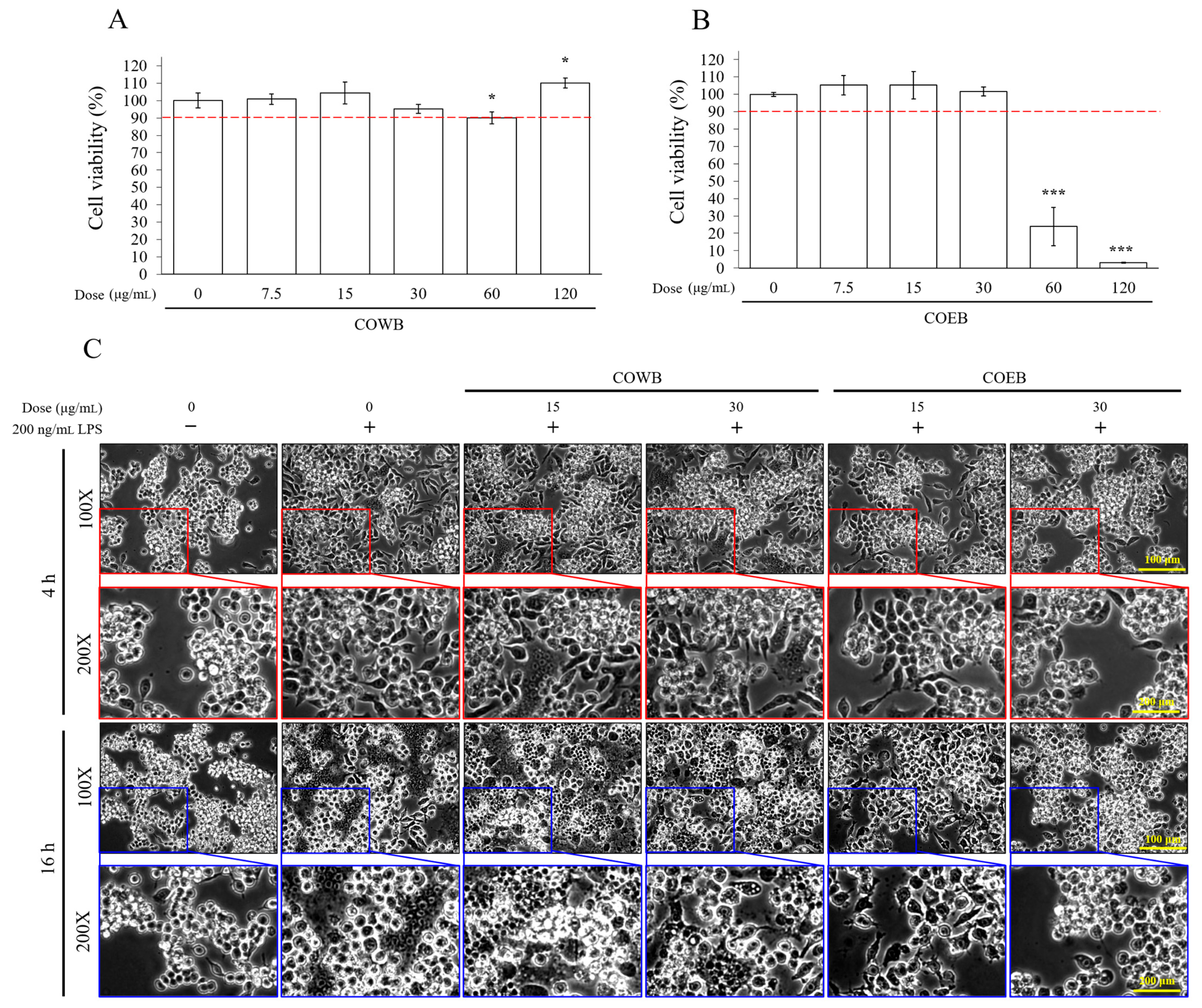 Plants 14 02346 g002
