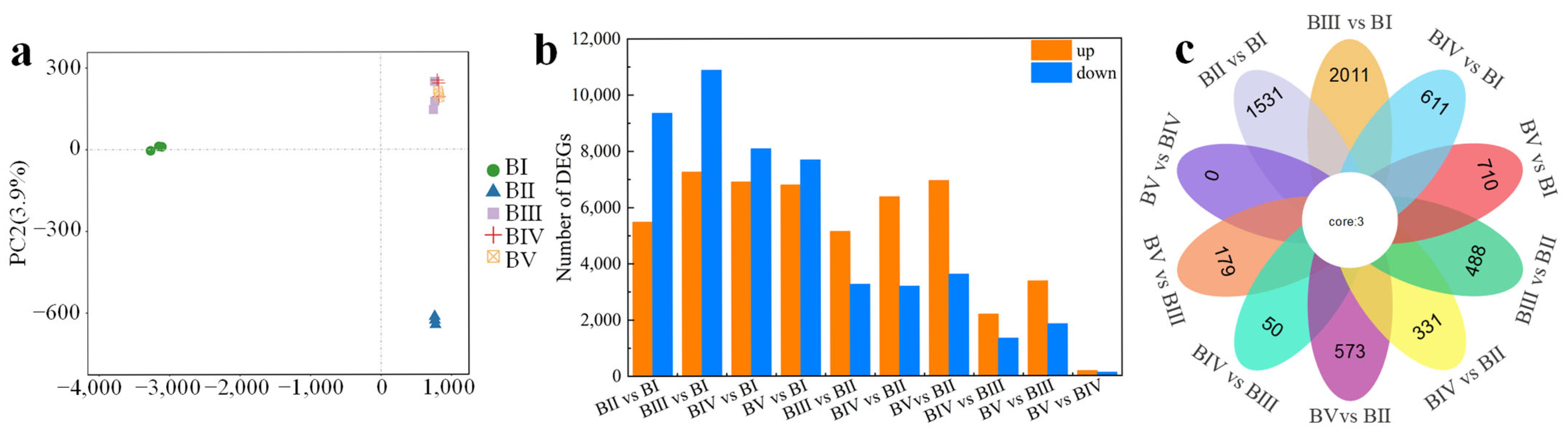 Plants 14 02348 g003