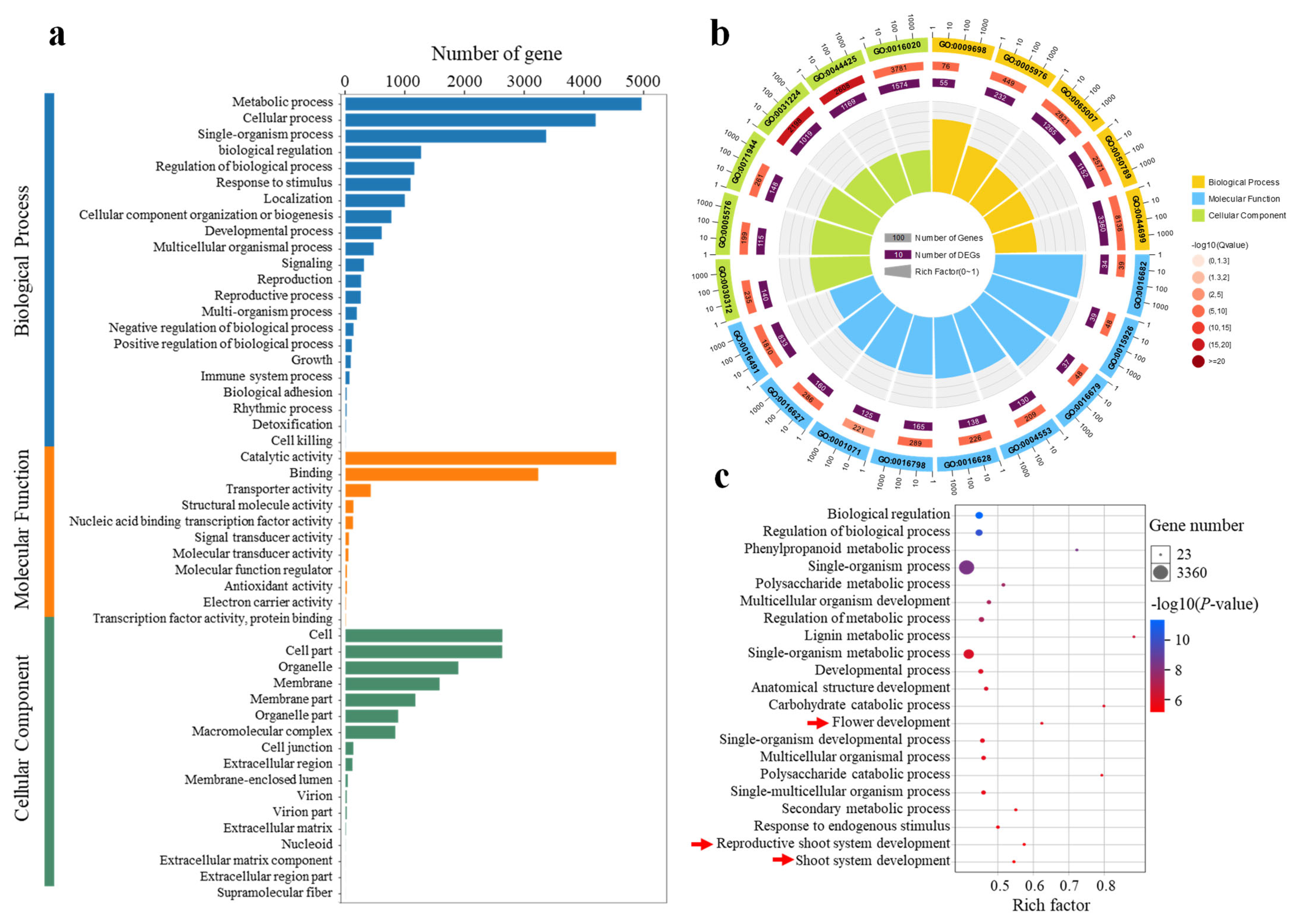 Plants 14 02348 g004