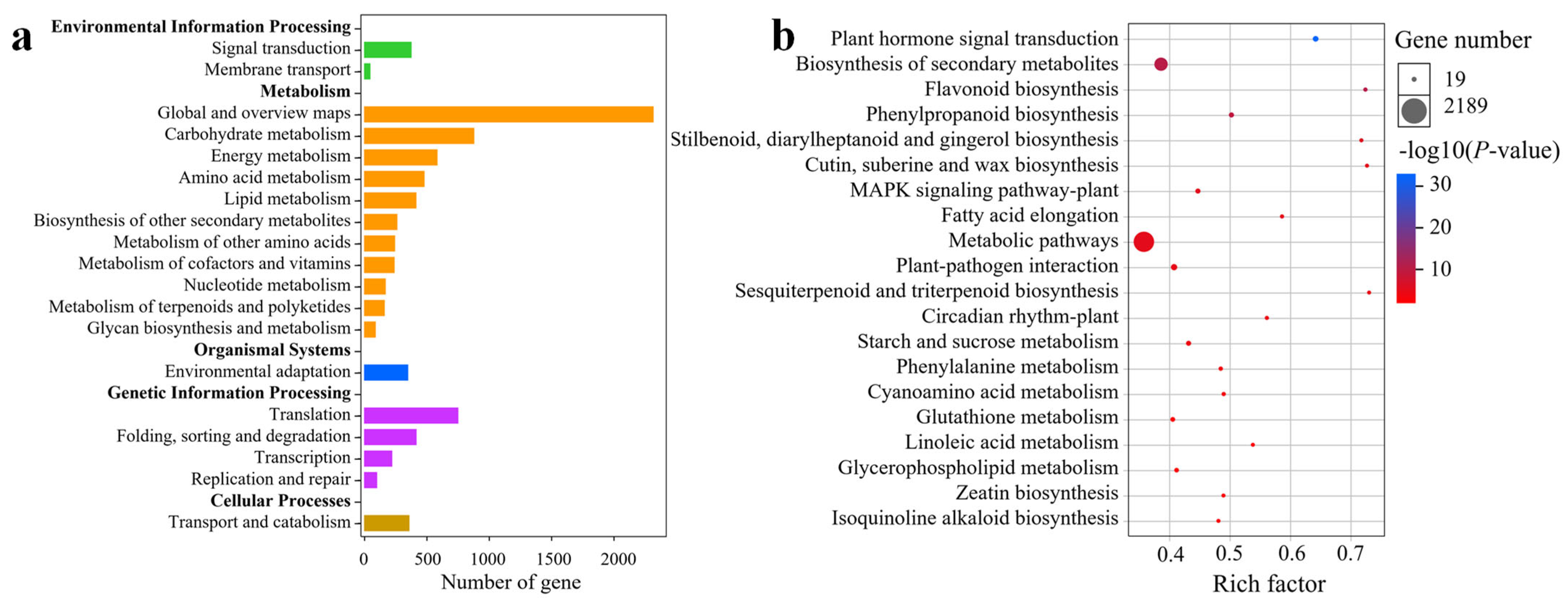 Plants 14 02348 g005
