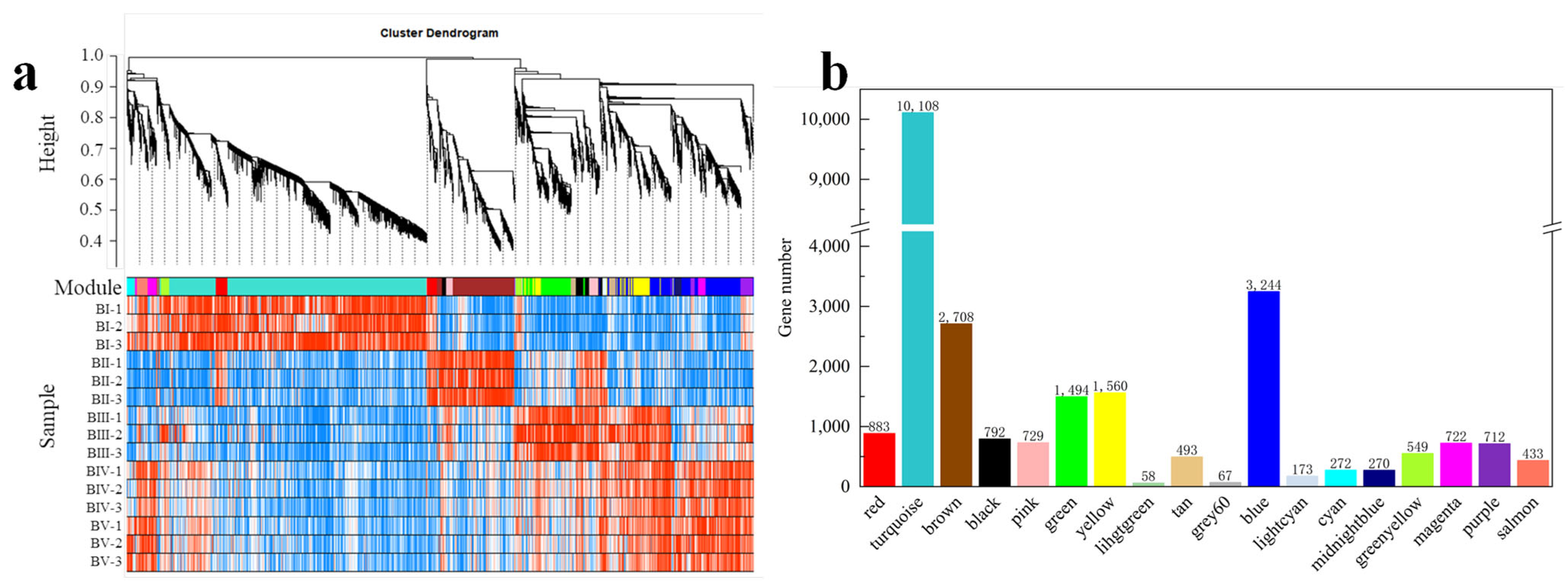 Plants 14 02348 g006
