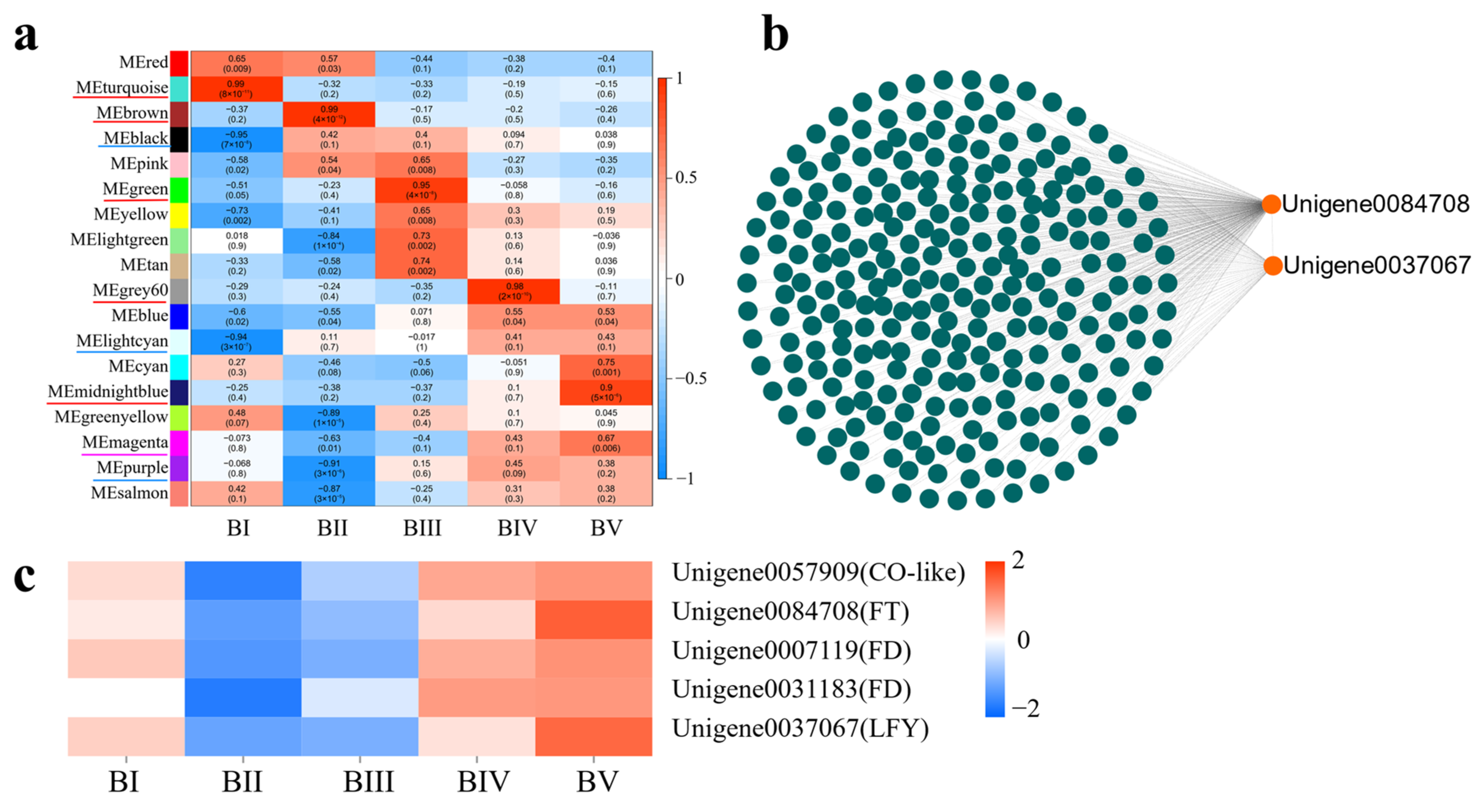 Plants 14 02348 g007