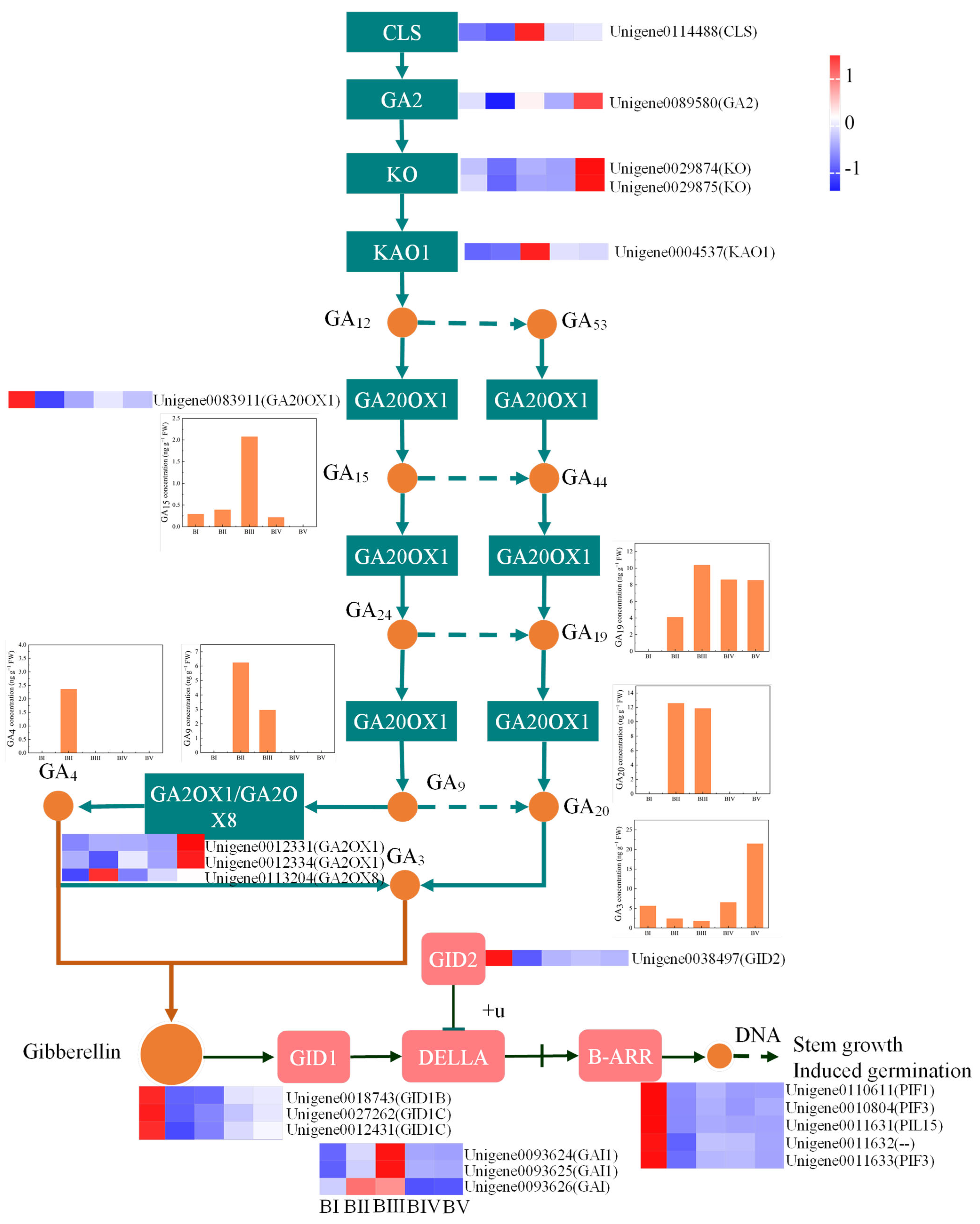 Plants 14 02348 g008
