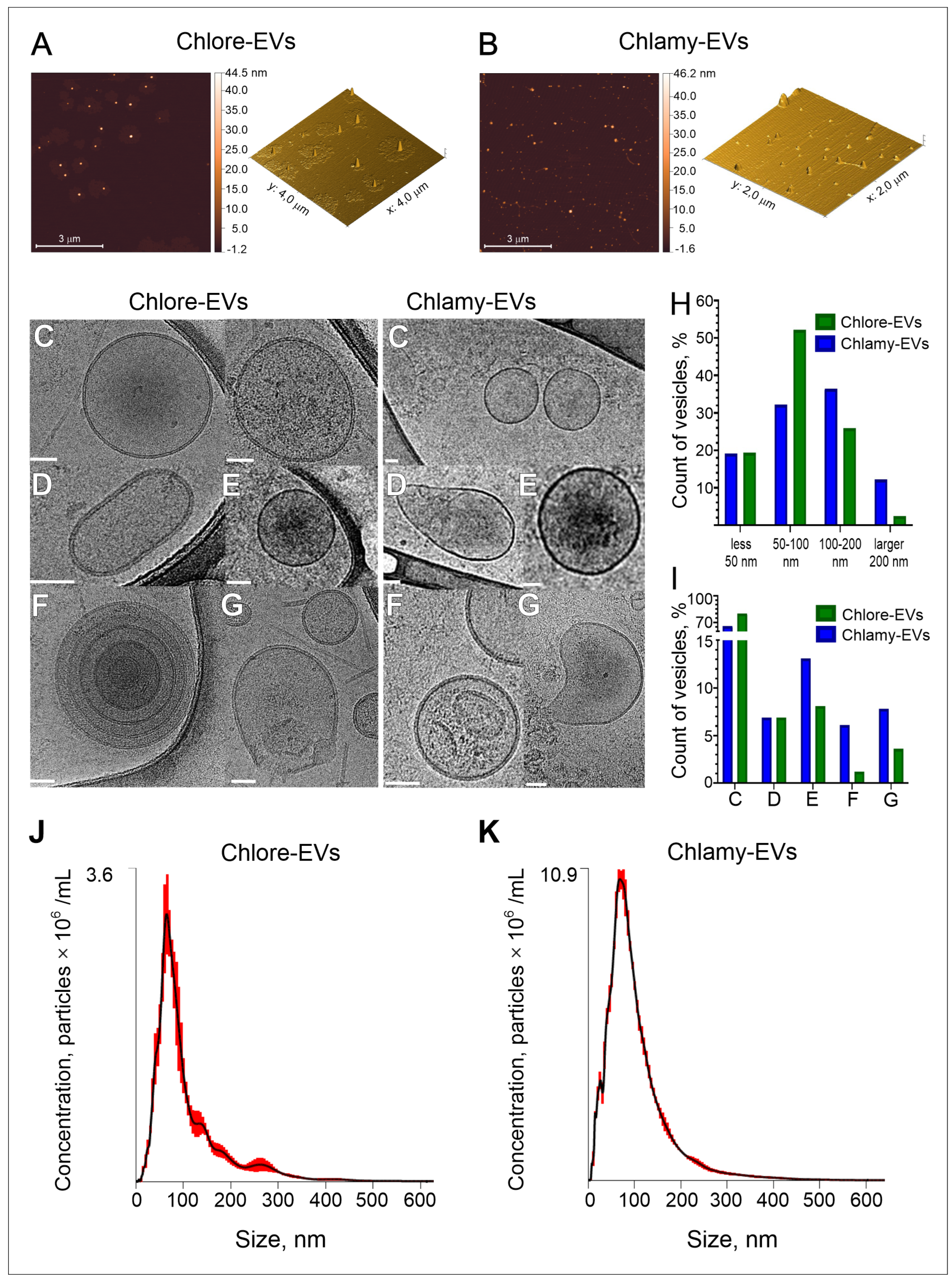 Plants 14 02354 g001