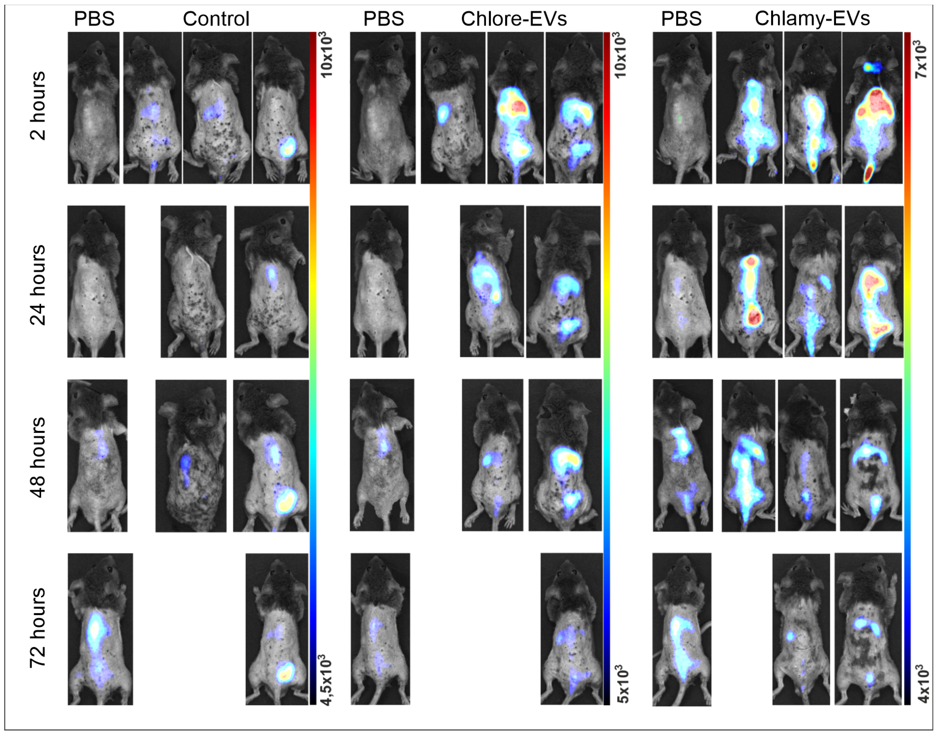 Plants 14 02354 g003
