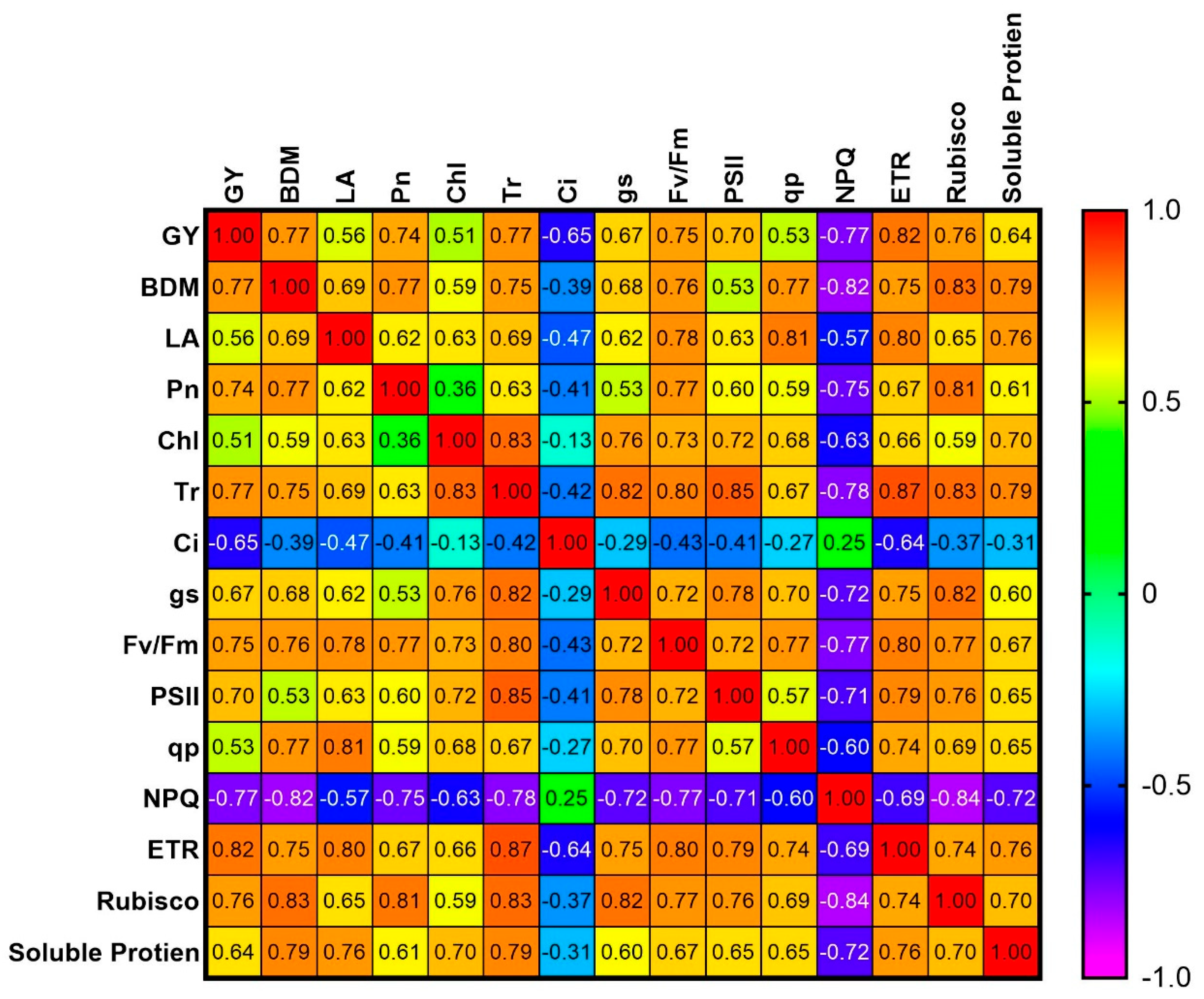 Plants 14 02359 g008