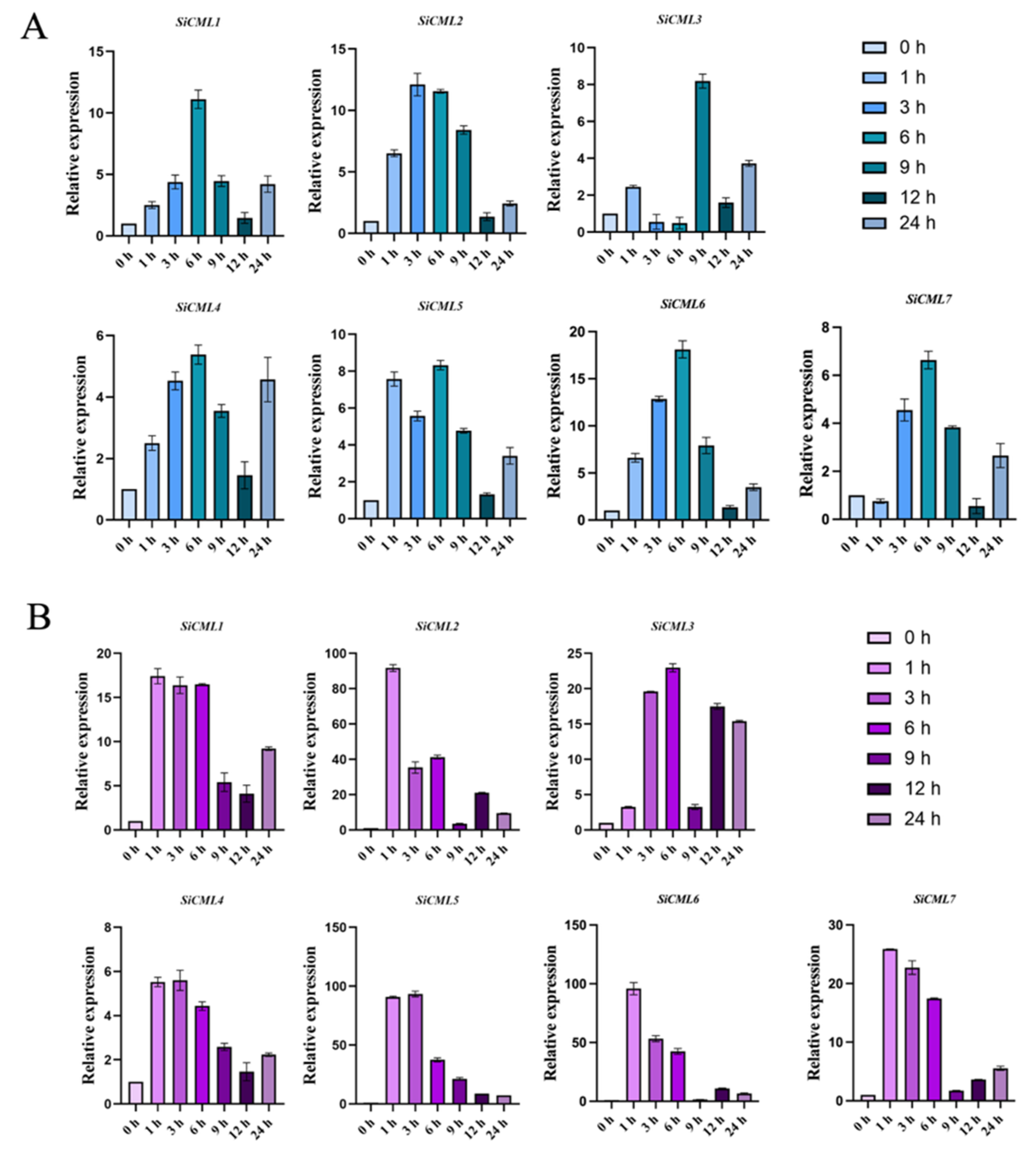 Plants 14 02360 g001