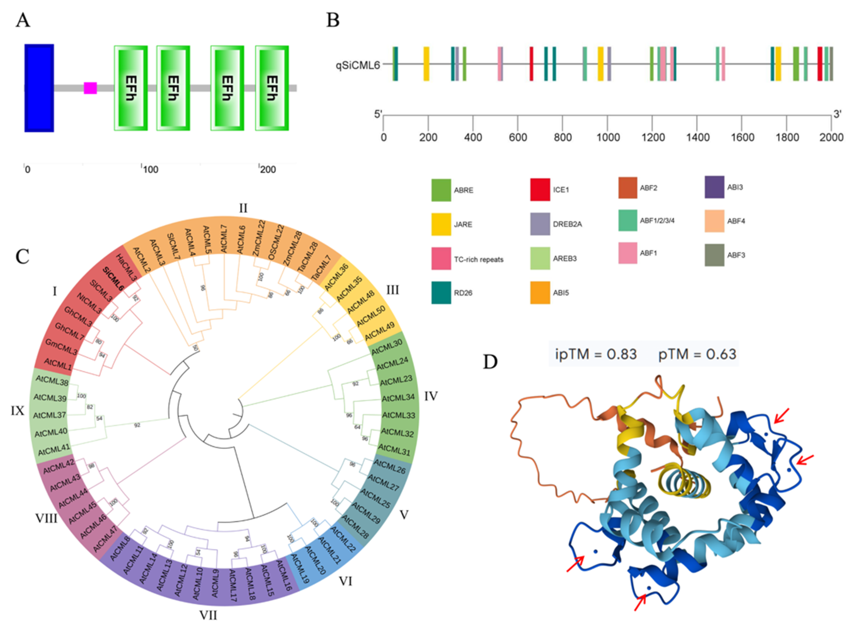 Plants 14 02360 g002
