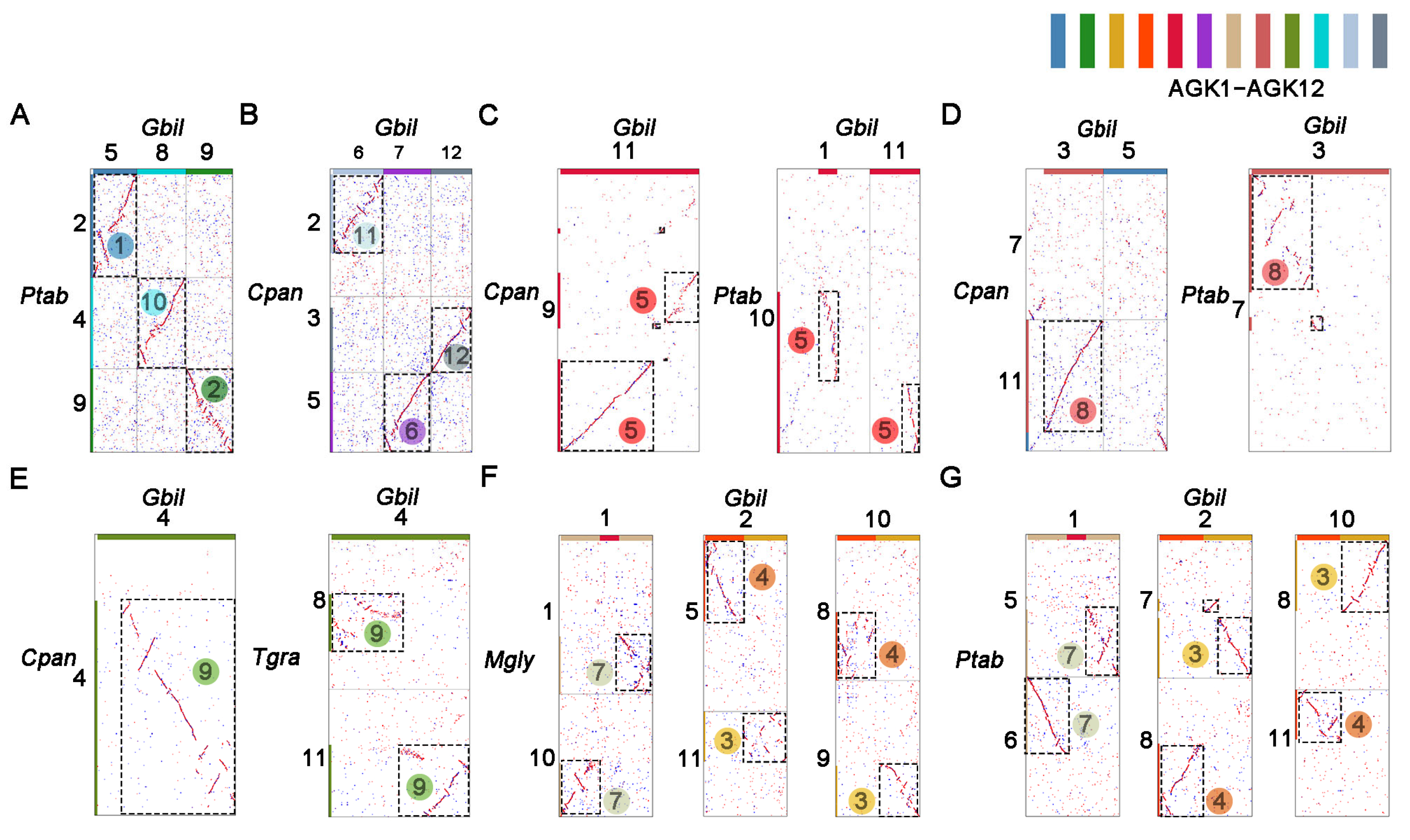 TT様 PPP L/S – TETON BROS. OFFICIAL SITE