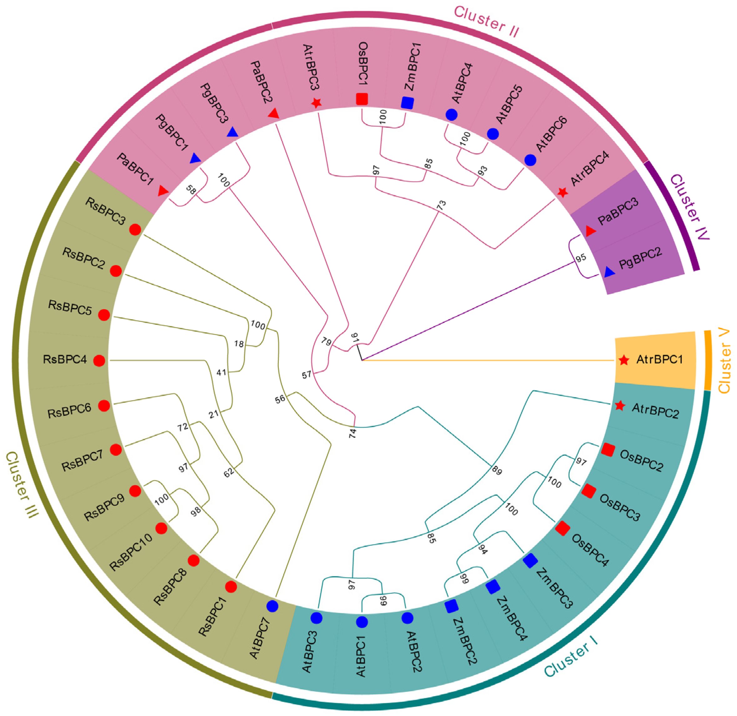 Plants 14 02362 g001