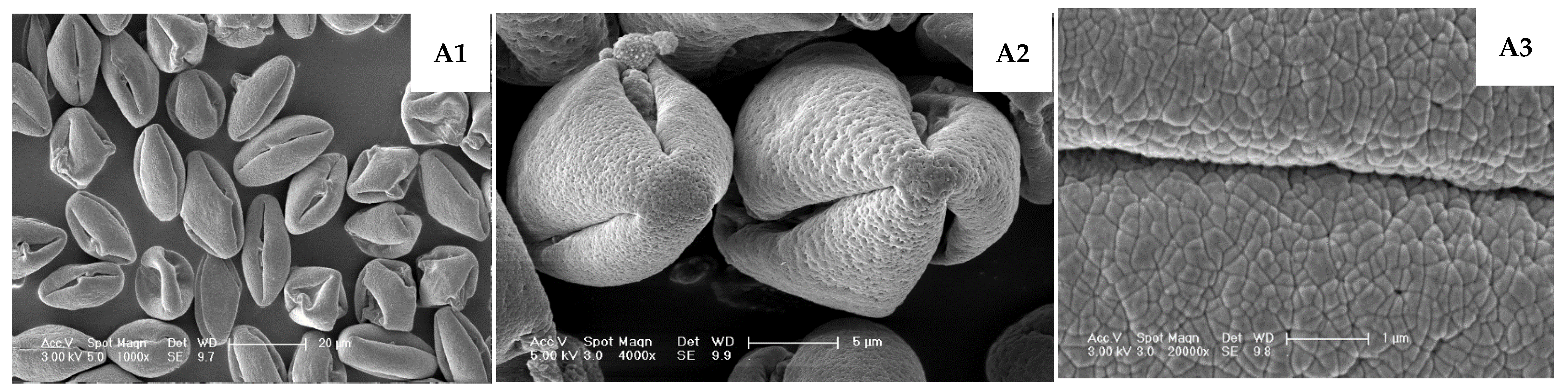 Plants 14 02366 g005a