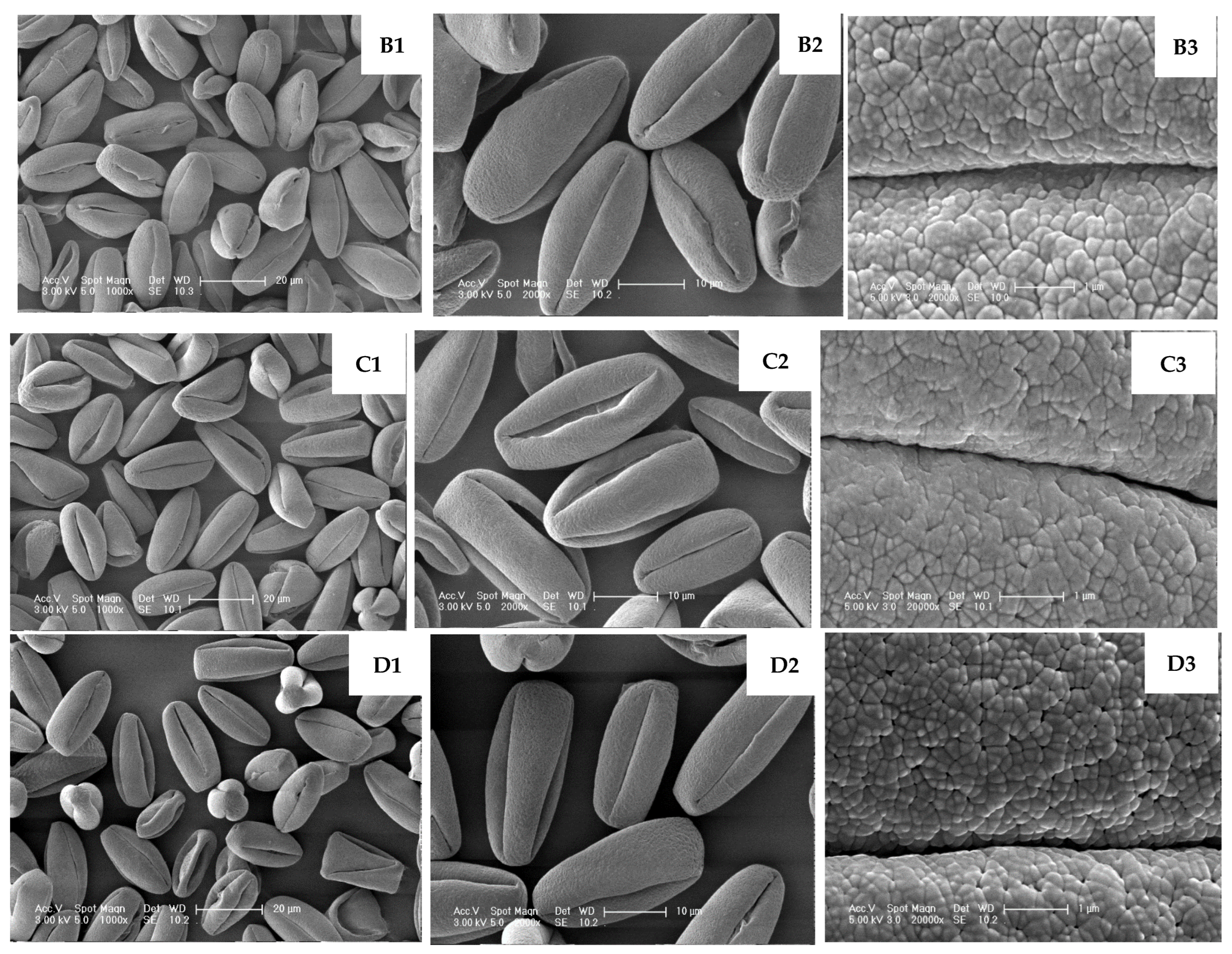 Plants 14 02366 g005b