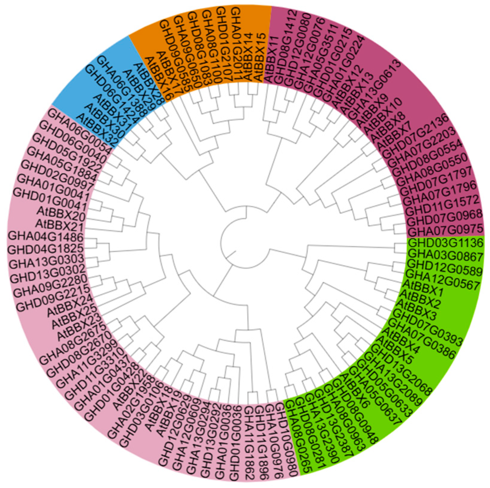 Plants 14 02367 g003