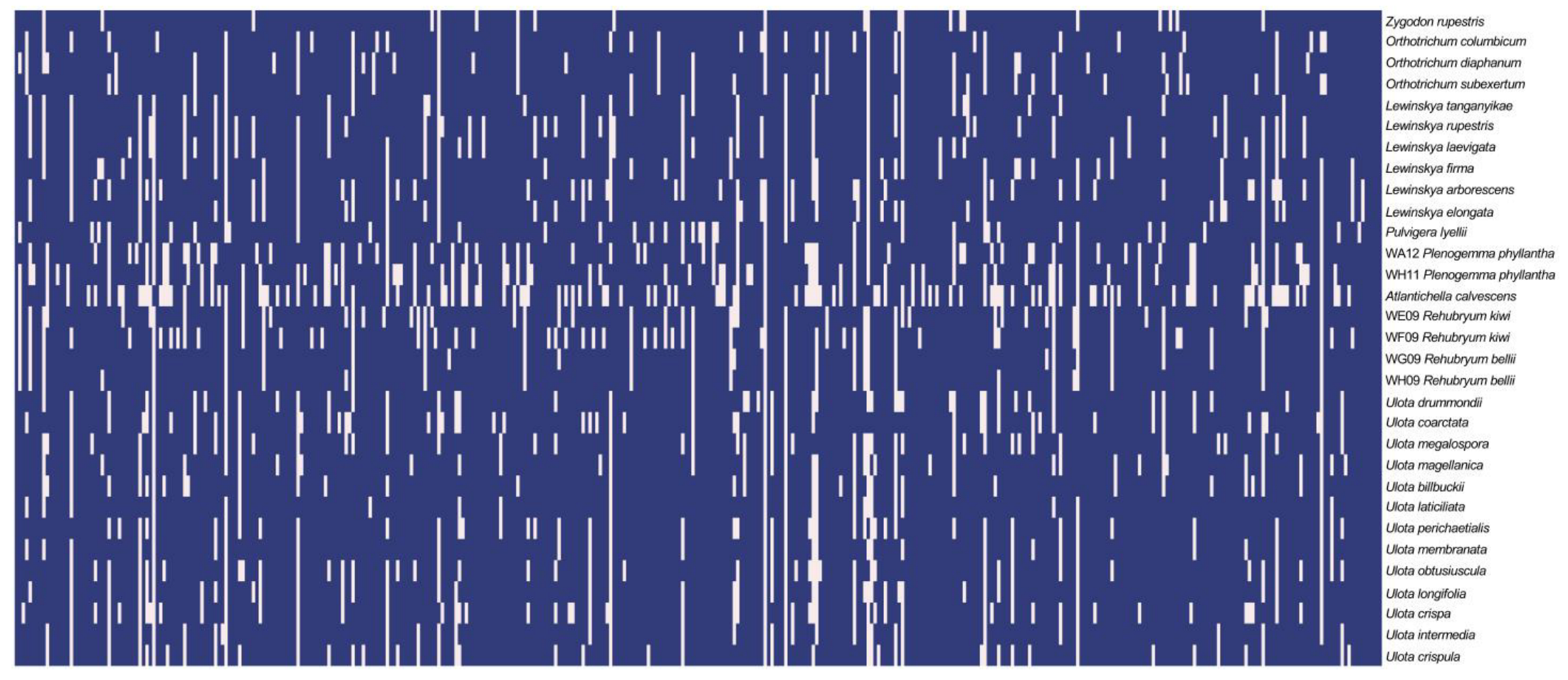 Plants 14 02373 g001 Plants 14 02373 g001