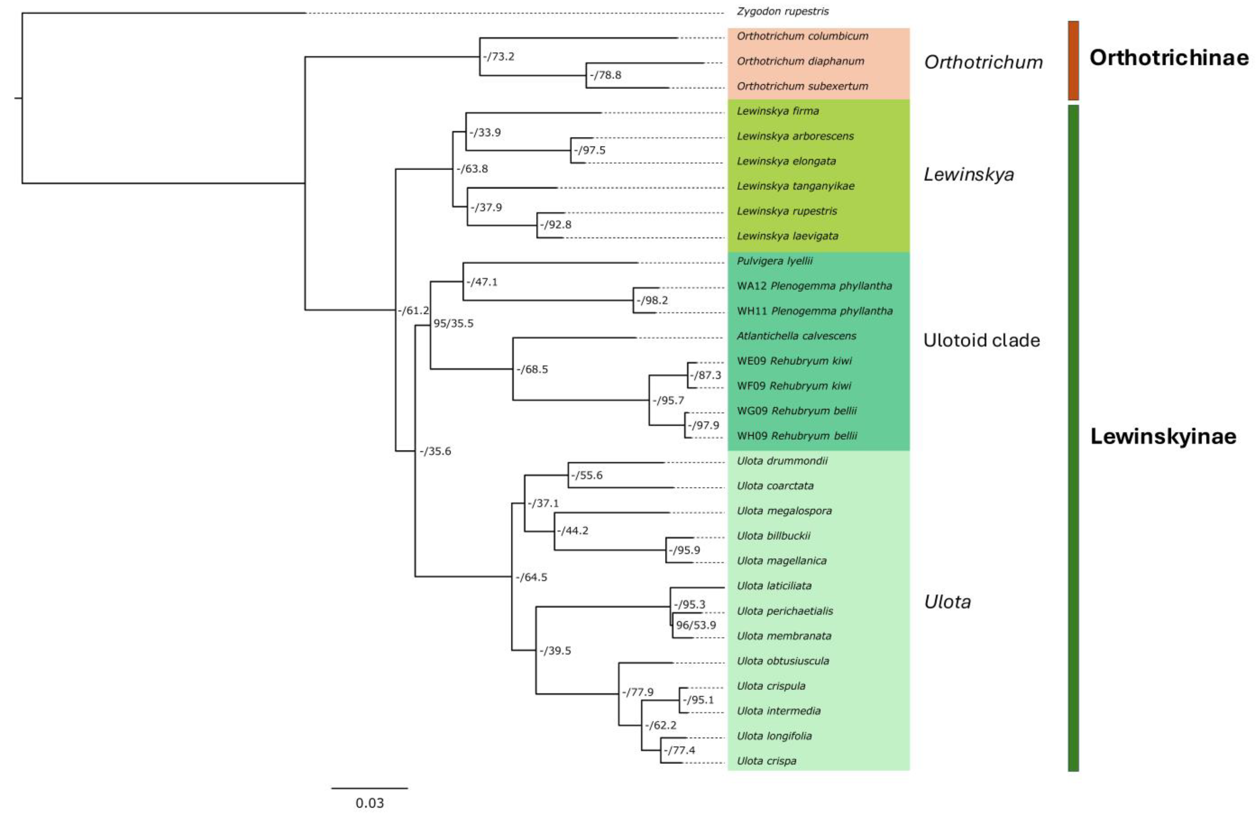 Plants 14 02373 g002 Plants 14 02373 g002