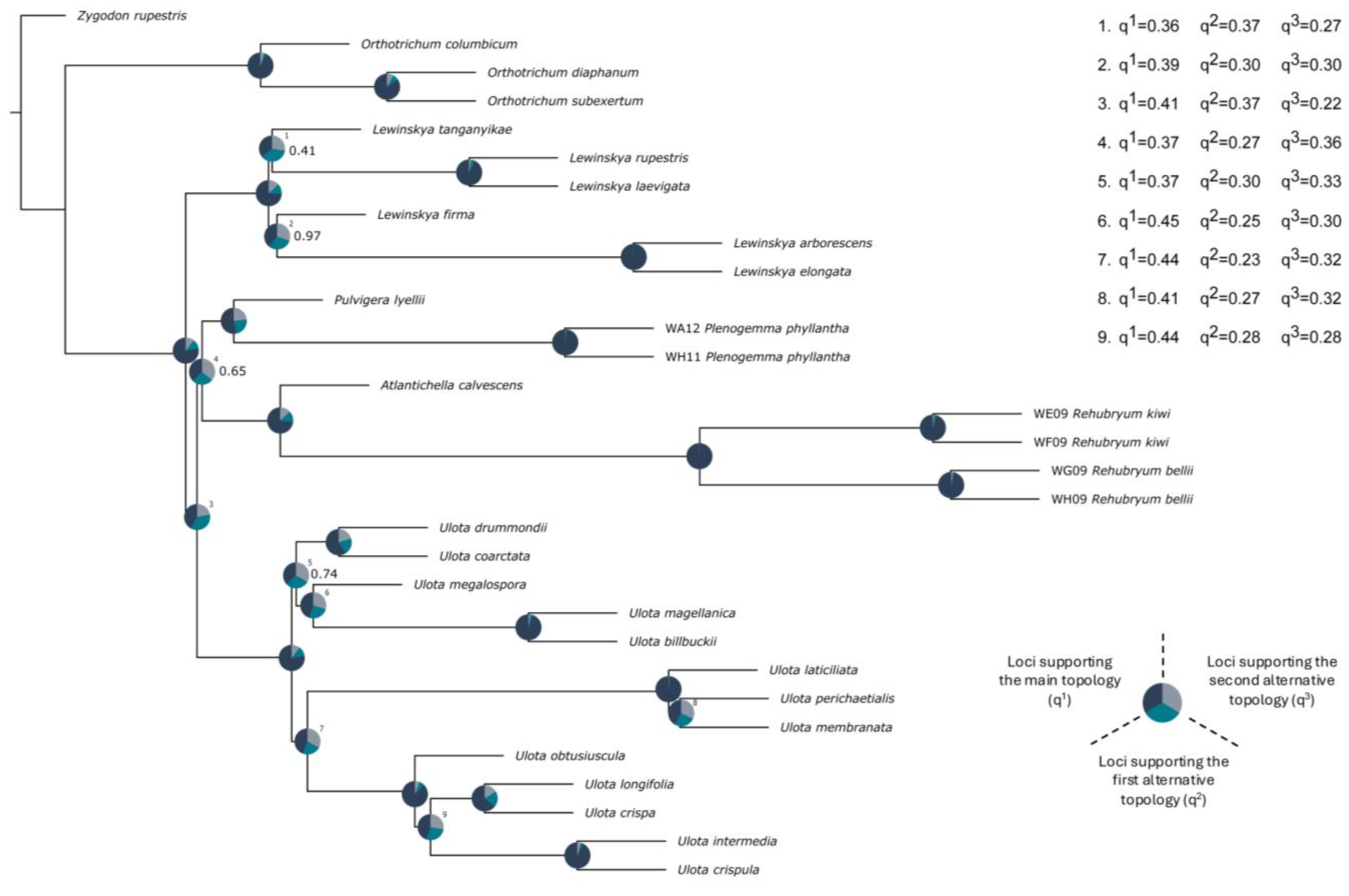 Plants 14 02373 g003 Plants 14 02373 g003