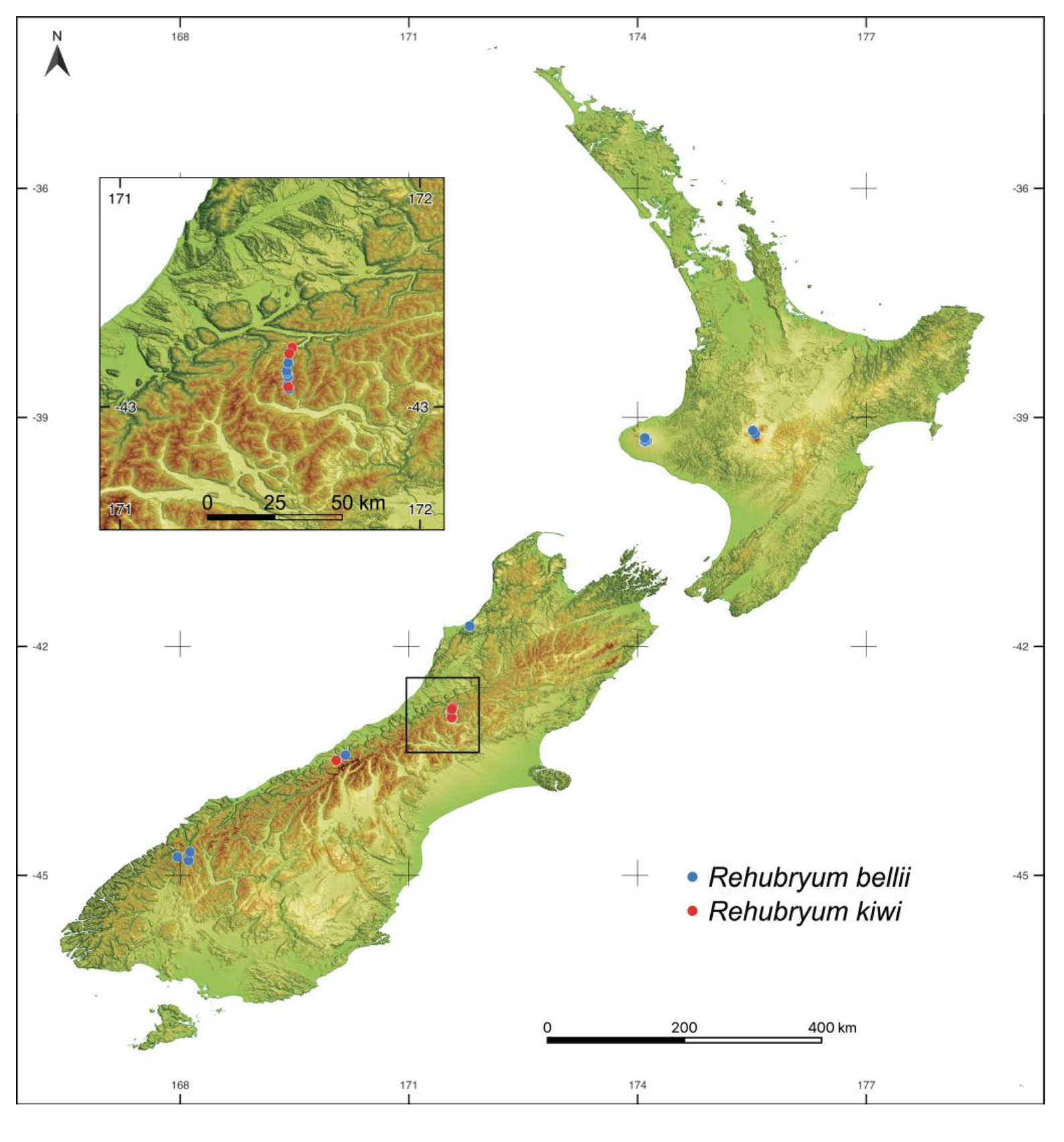 Plants 14 02373 g007 Plants 14 02373 g007