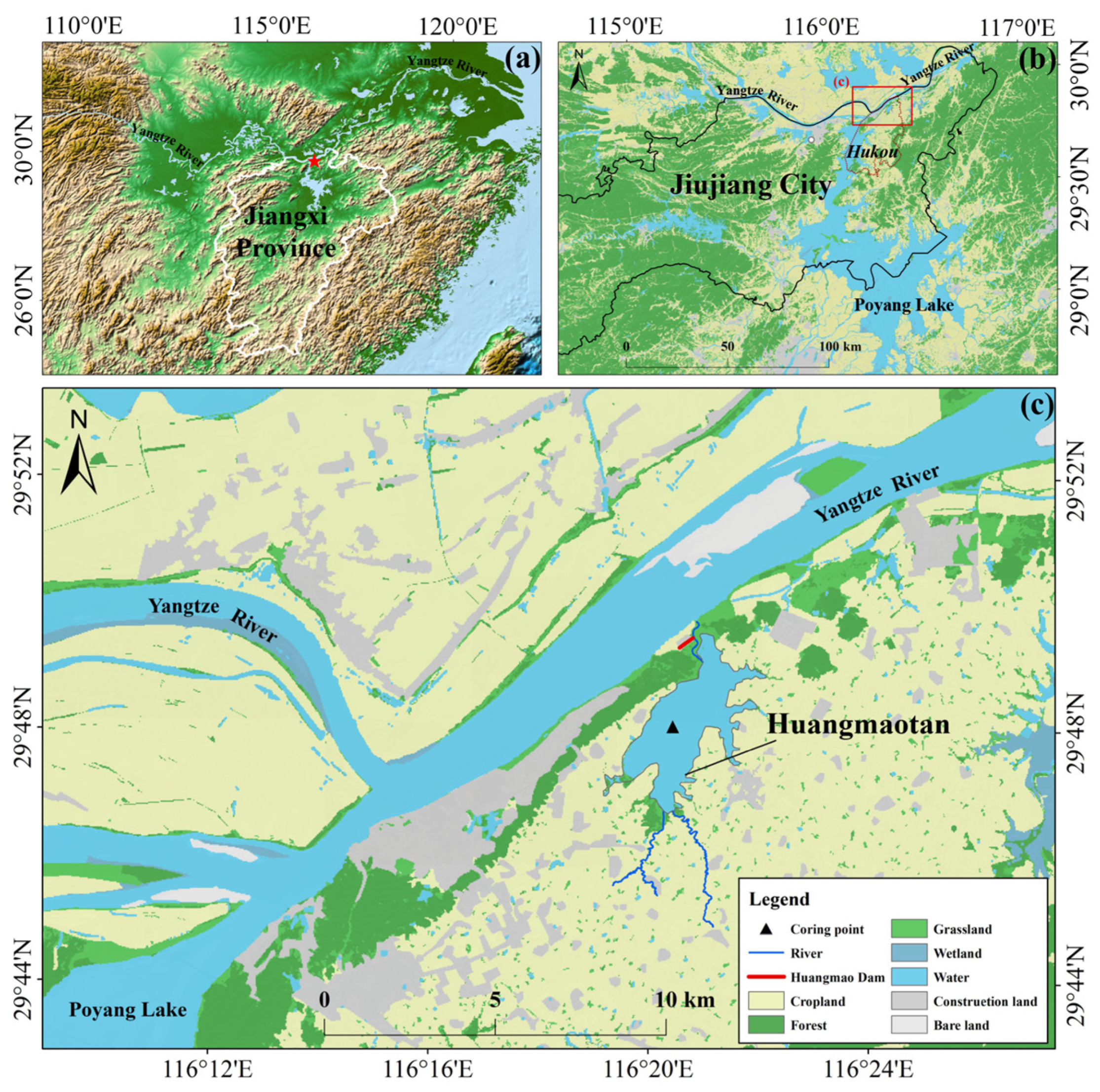 Plants 14 02381 g001 Plants 14 02381 g001