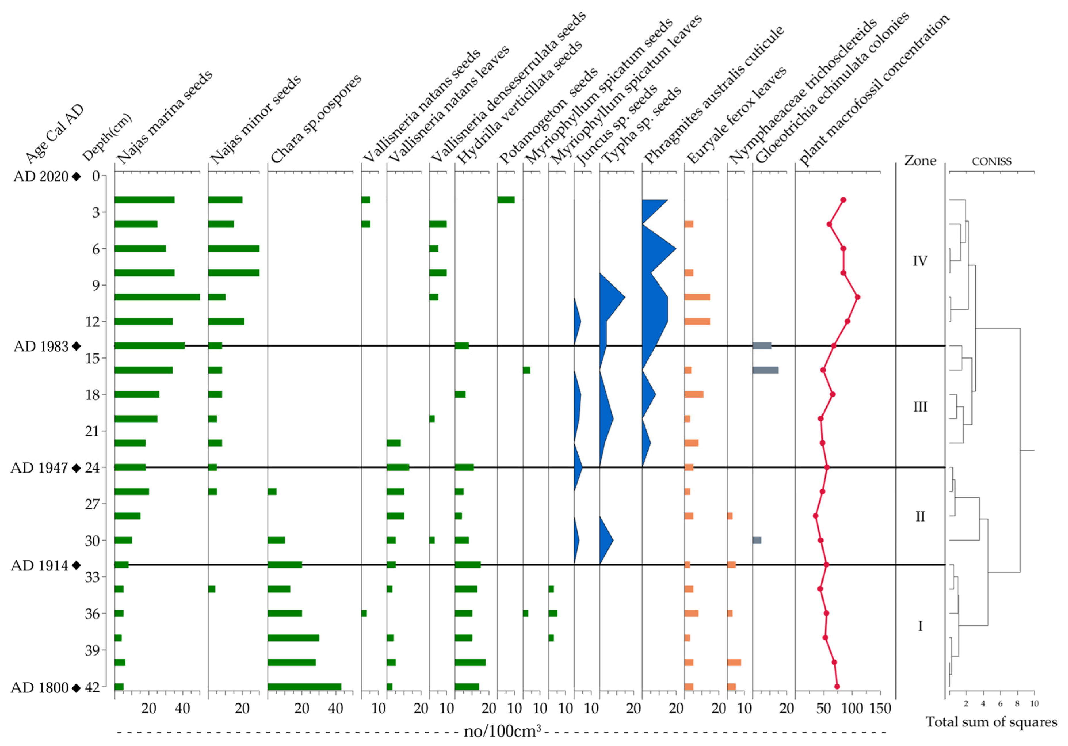 Plants 14 02381 g005 Plants 14 02381 g005