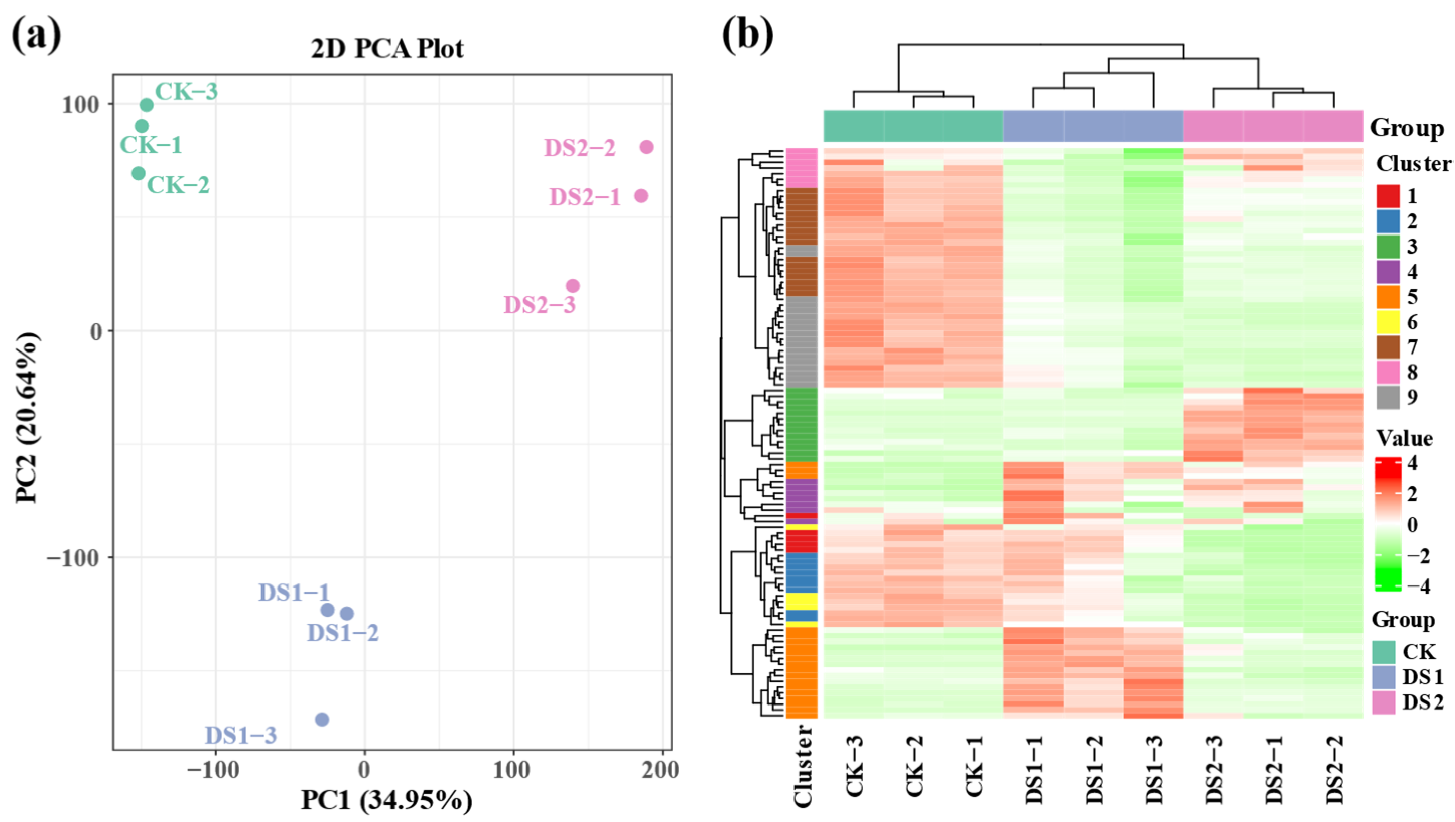 Plants 14 02383 g001