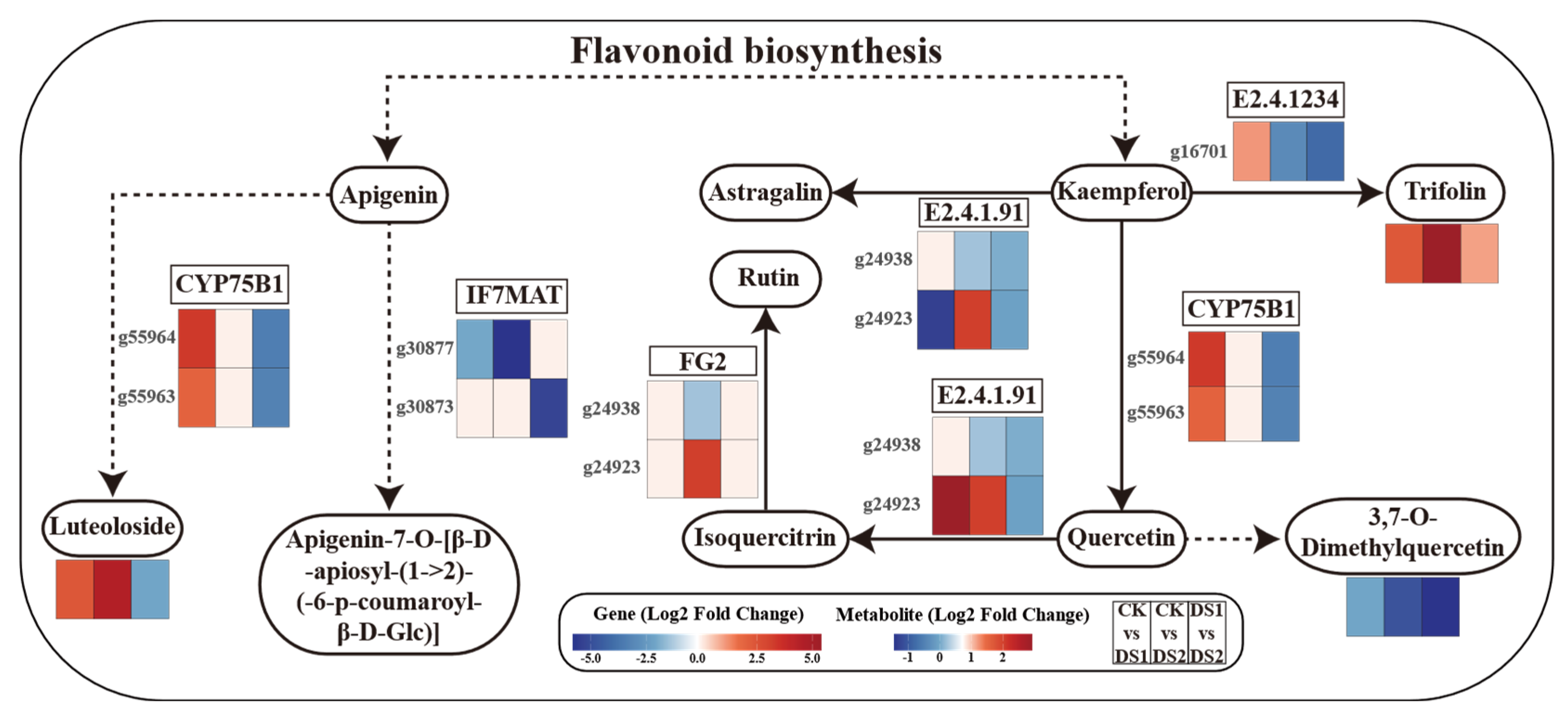 Plants 14 02383 g008