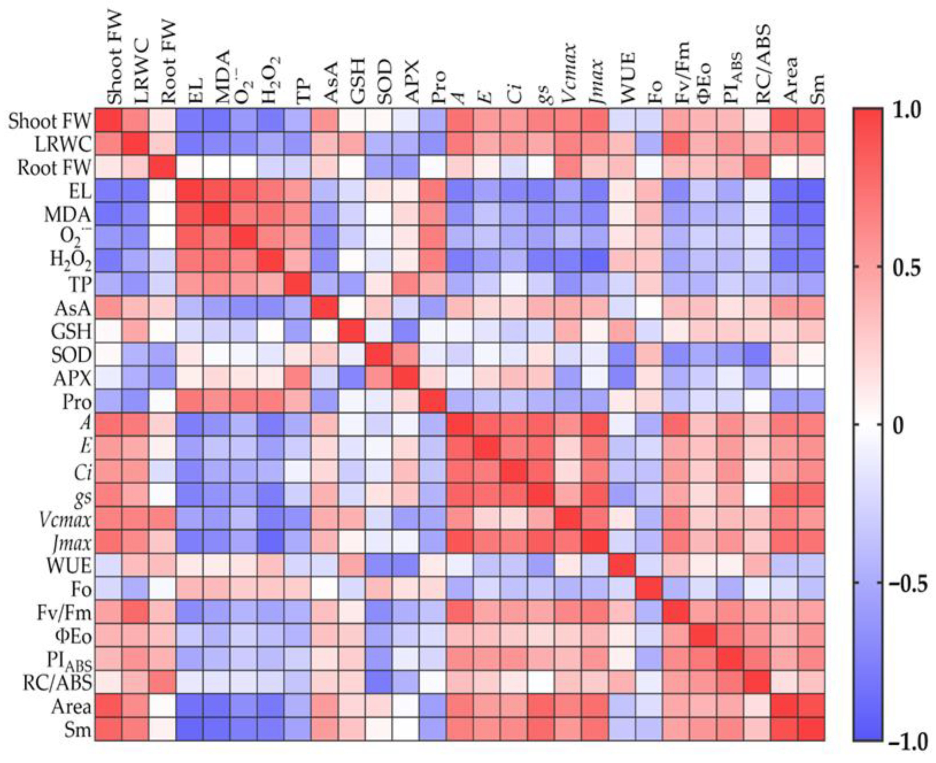Plants 14 02386 g005