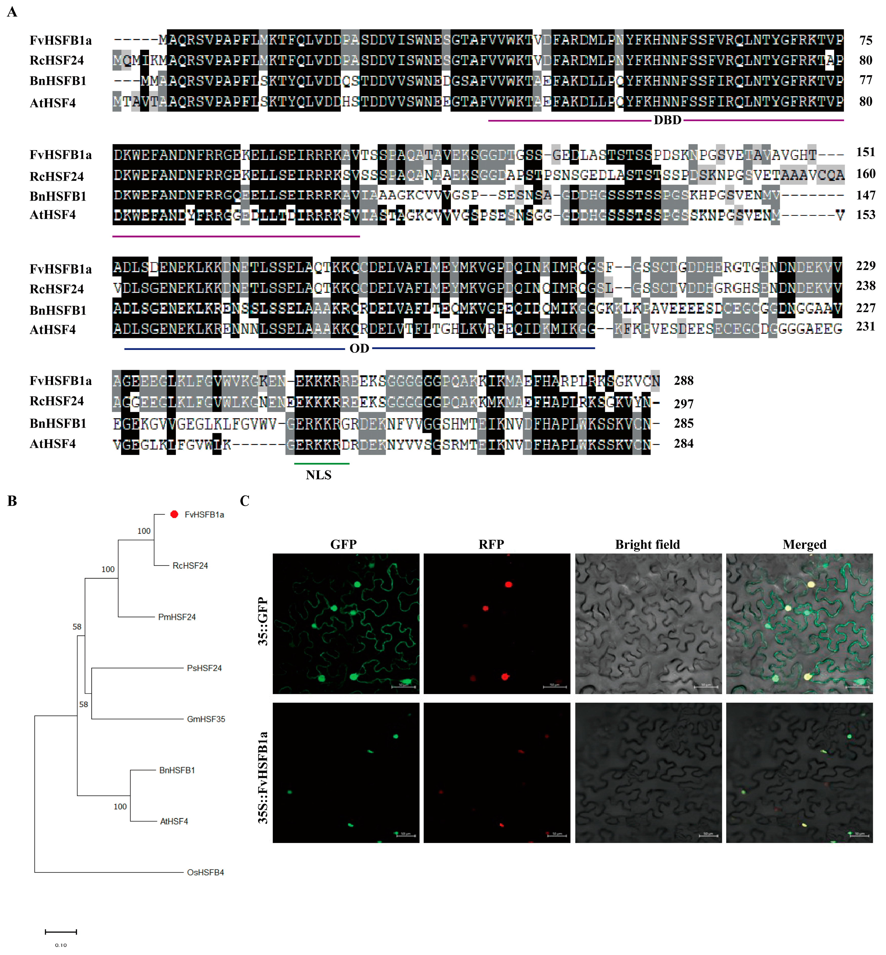 Plants 14 02392 g001