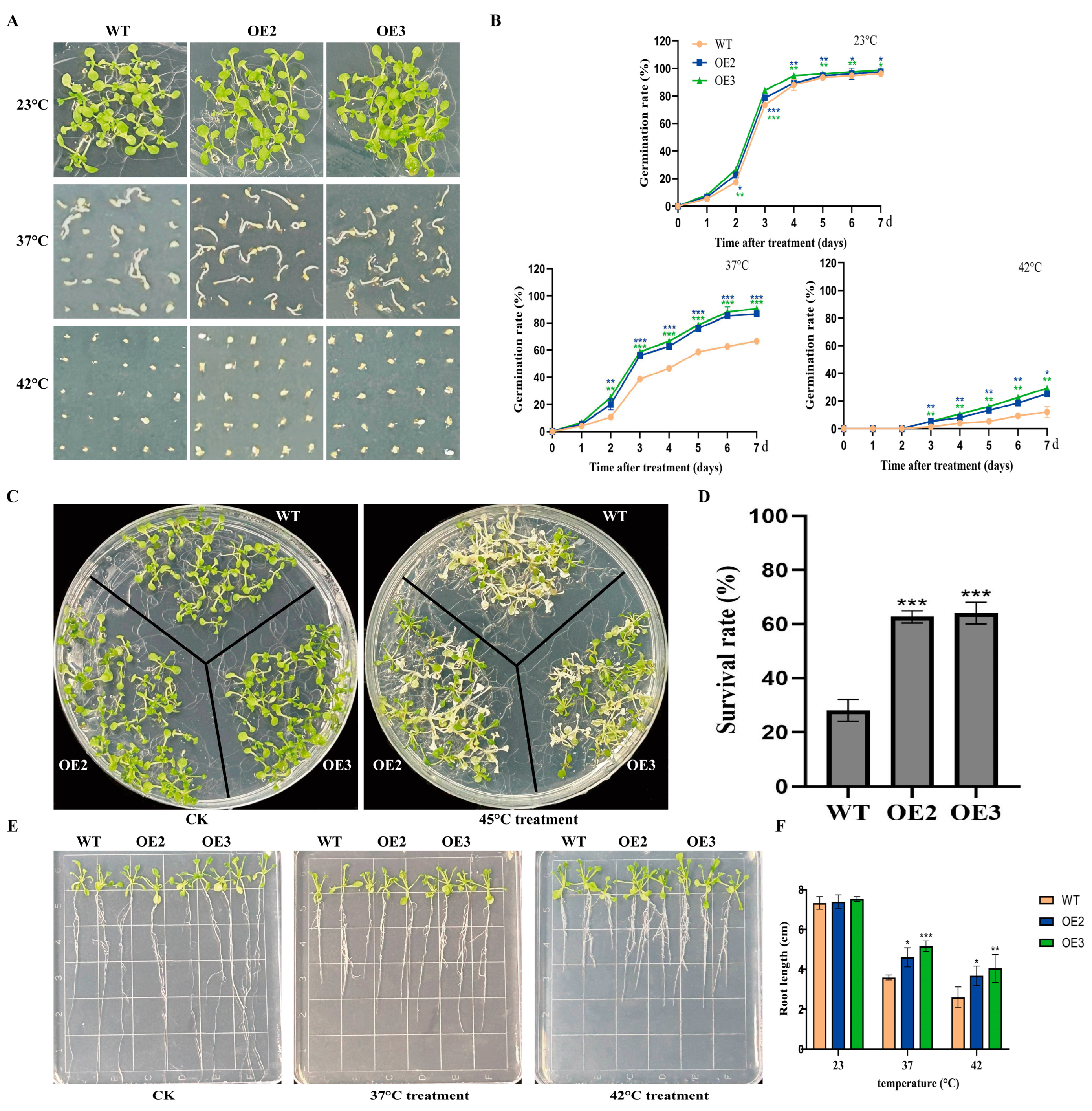 Plants 14 02392 g003