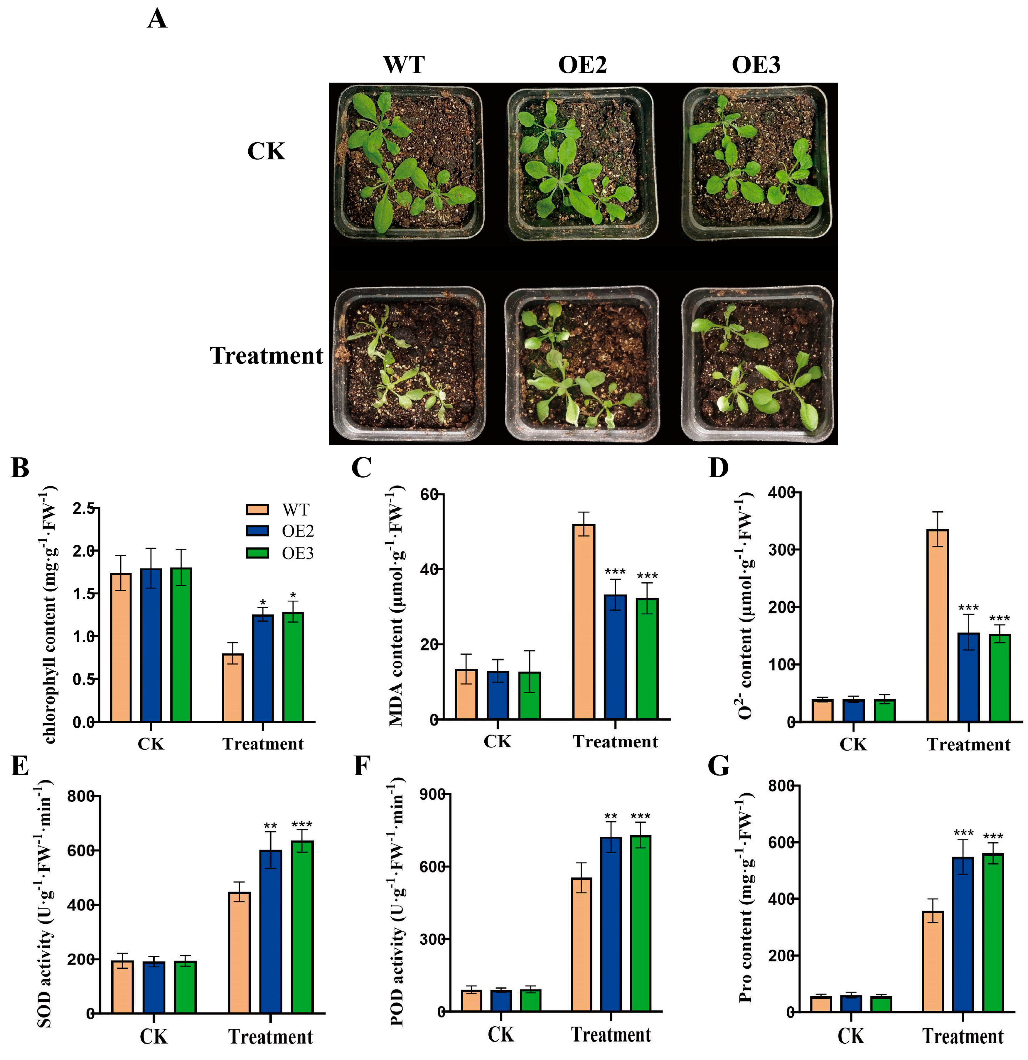 Plants 14 02392 g004