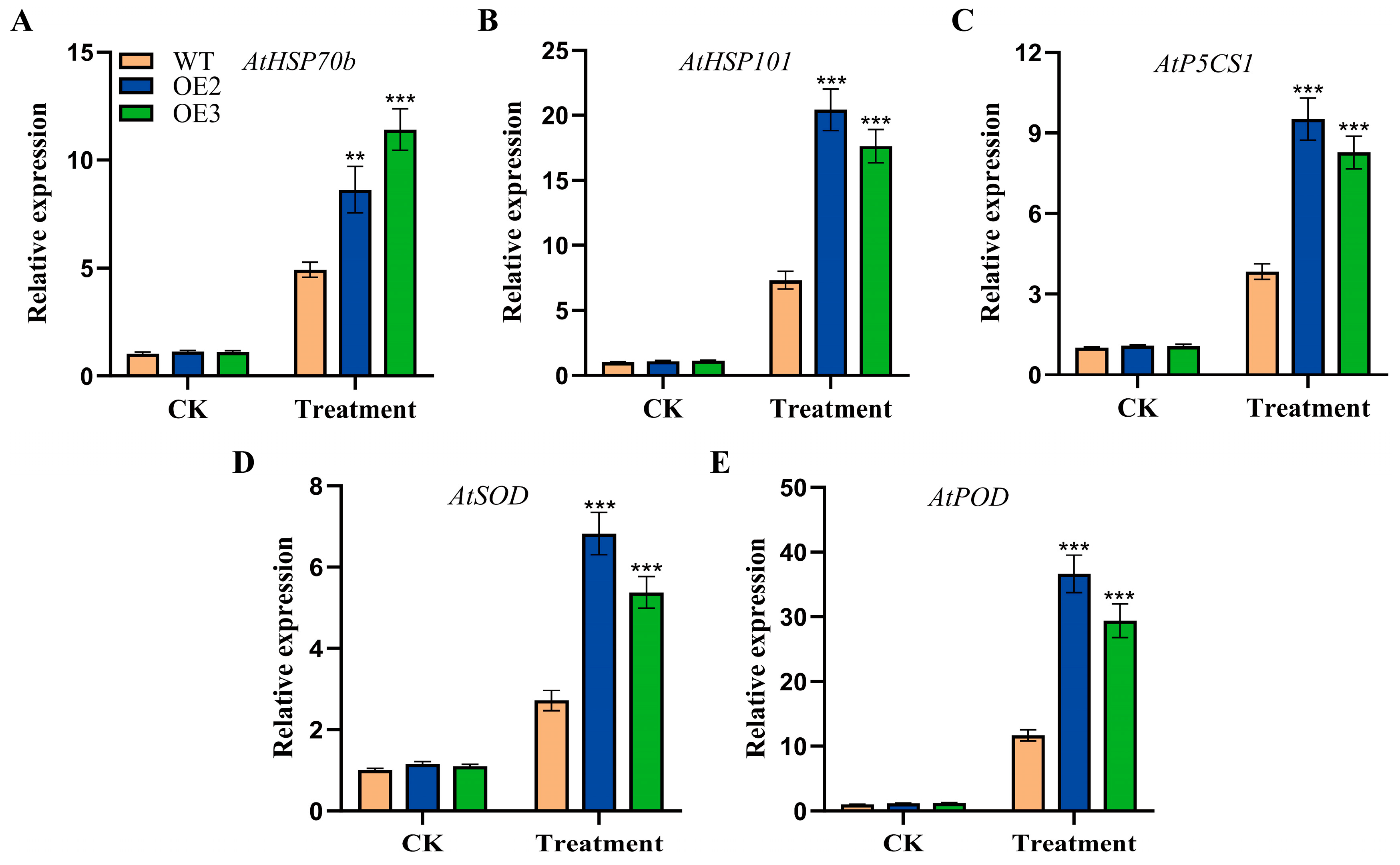 Plants 14 02392 g005