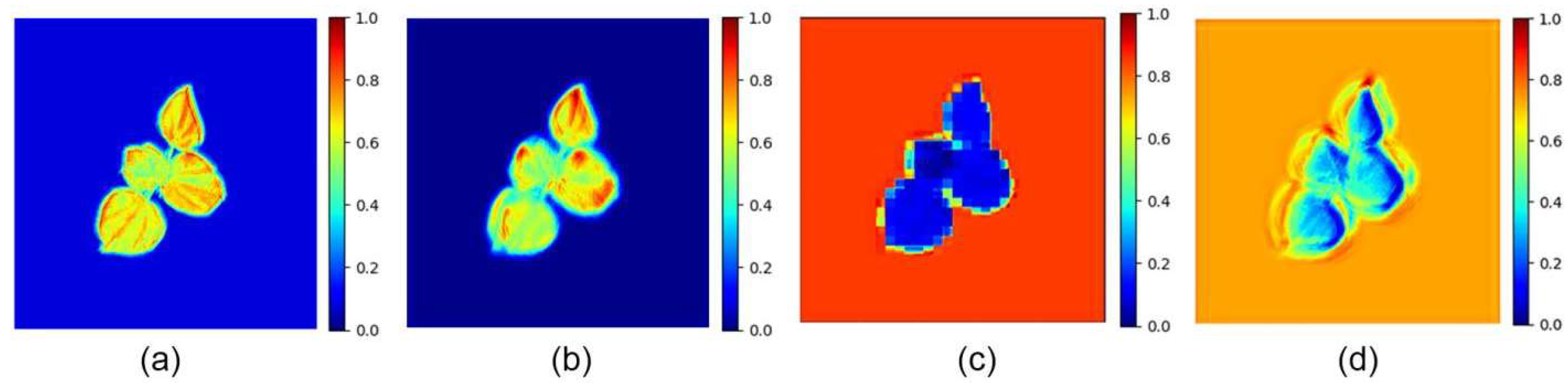 Plants 14 02394 g007 Plants 14 02394 g007
