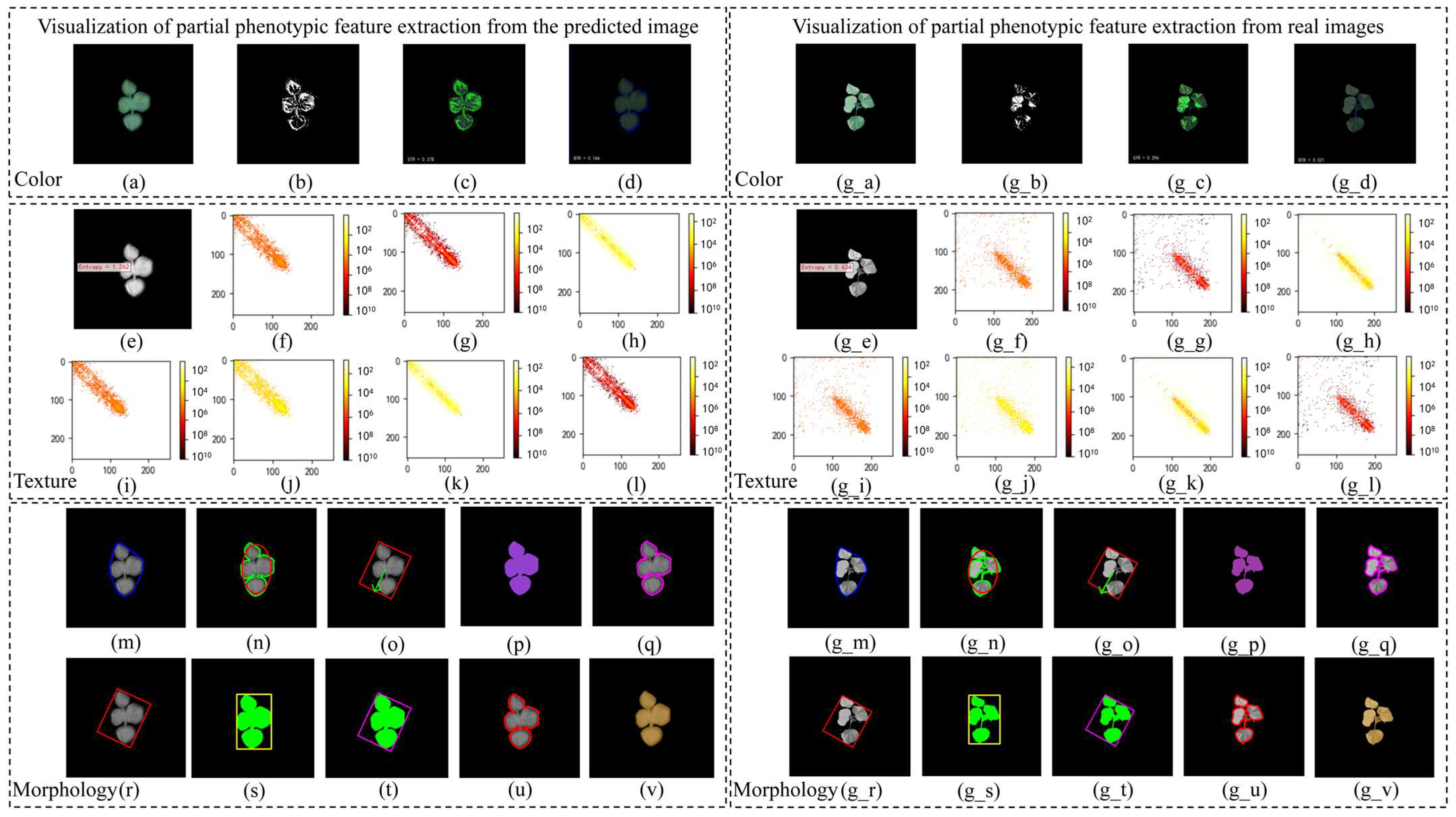 Plants 14 02394 g008 Plants 14 02394 g008