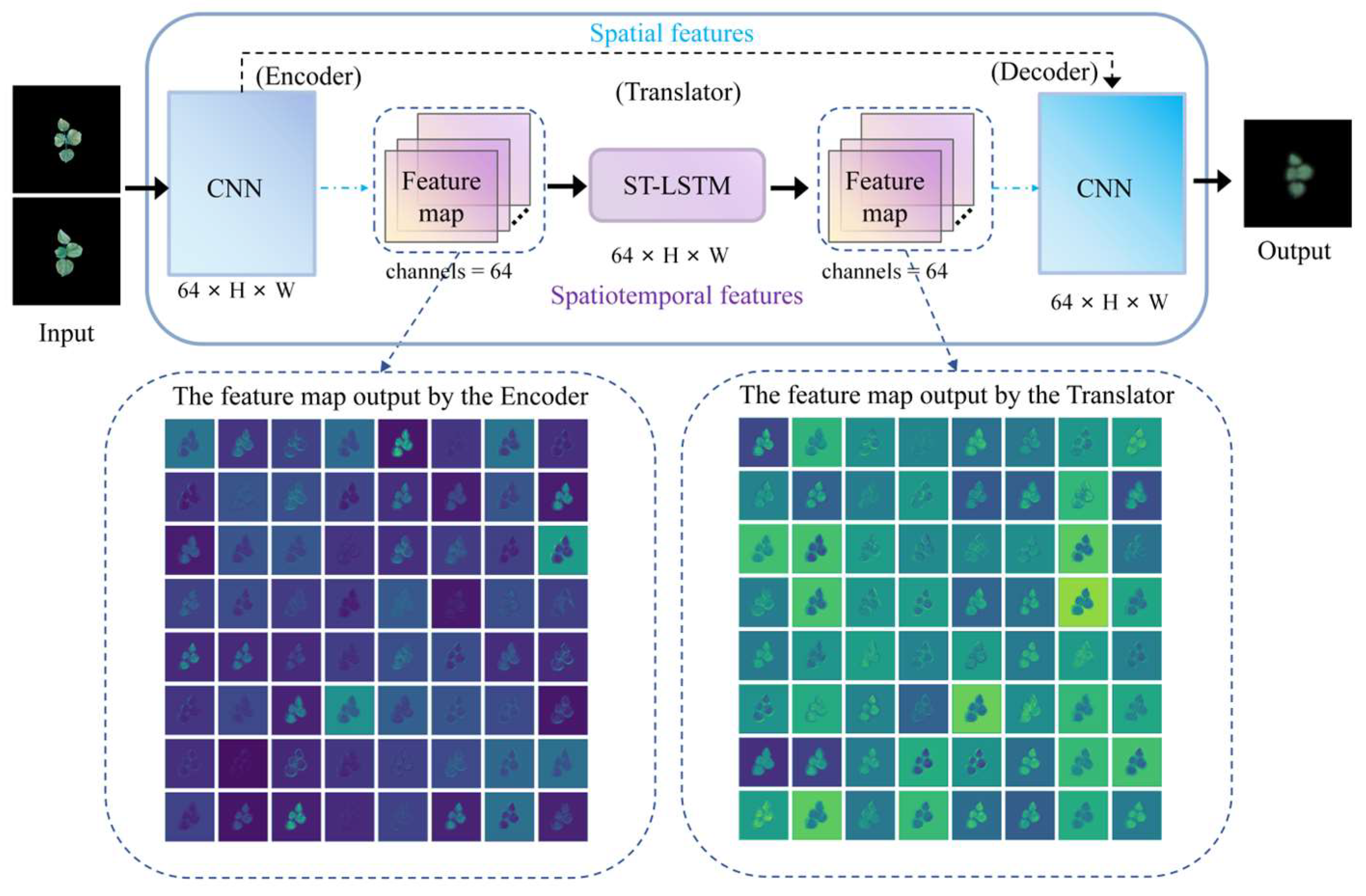 Plants 14 02394 g014 Plants 14 02394 g014
