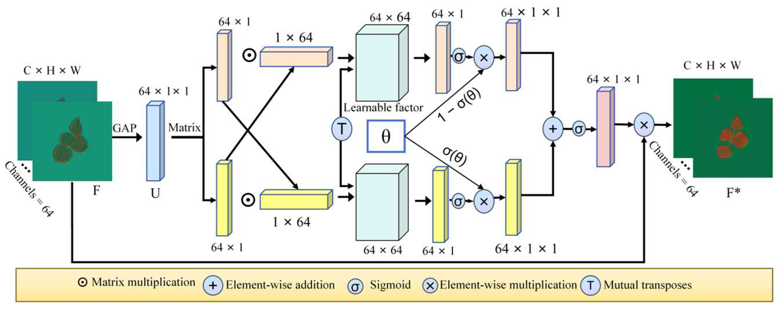 Plants 14 02394 g015 Plants 14 02394 g015