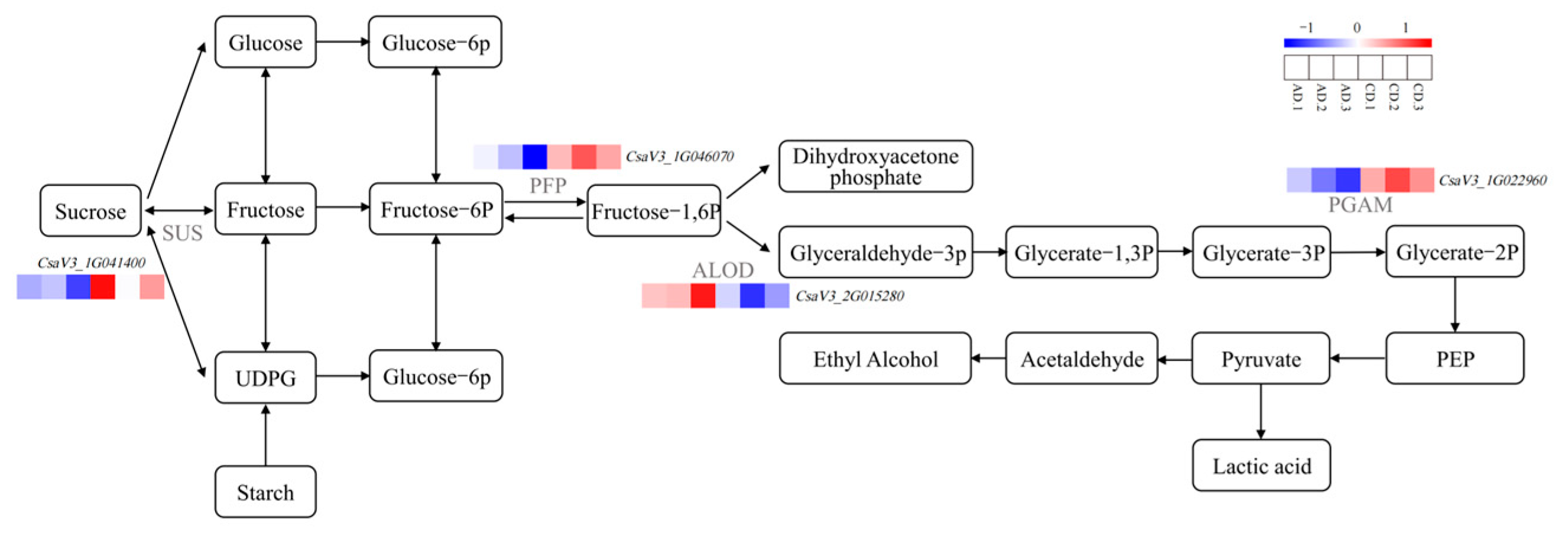 Plants 14 02398 g009 Plants 14 02398 g009