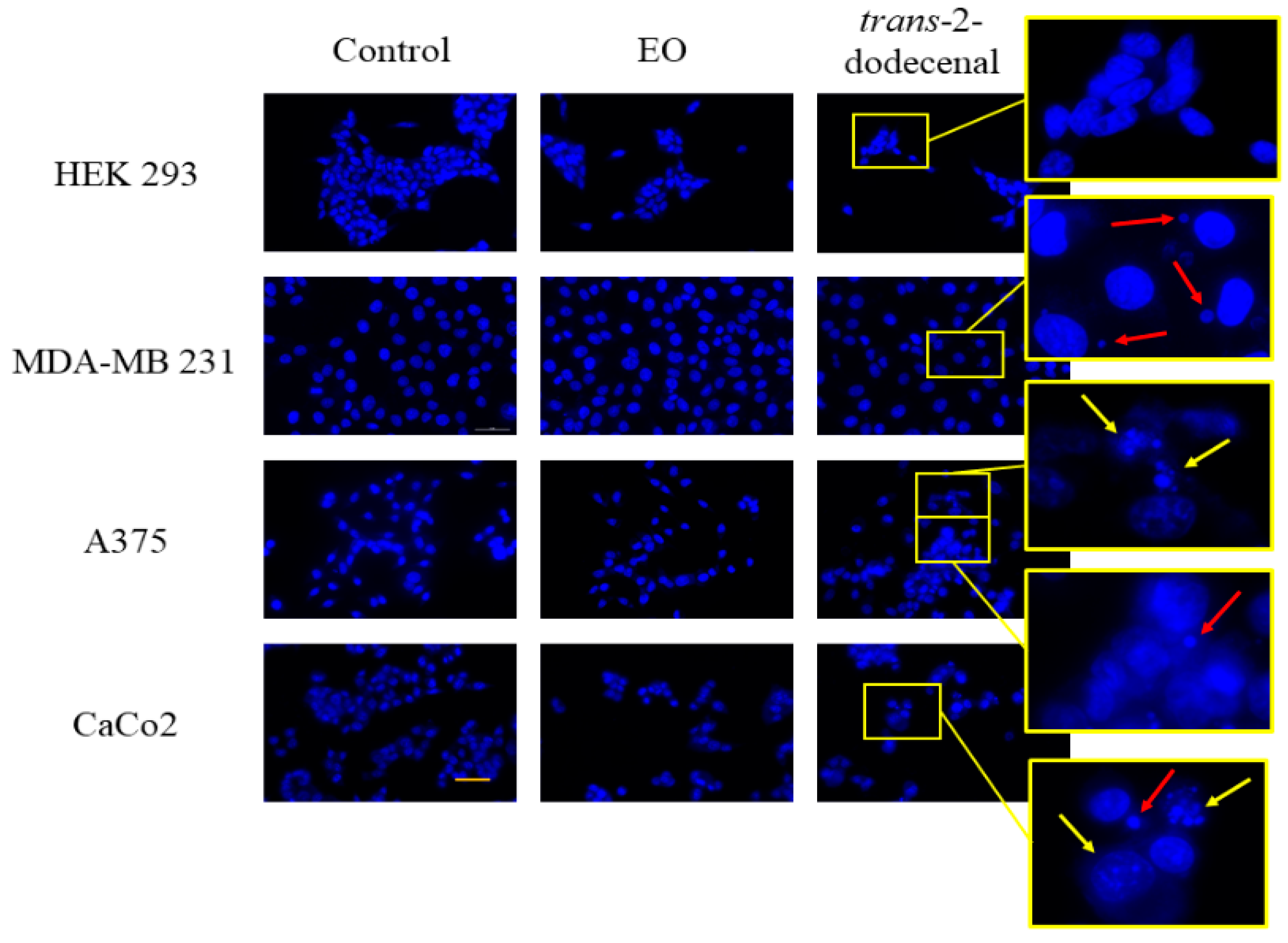 Plants 14 02408 g005 Plants 14 02408 g005
