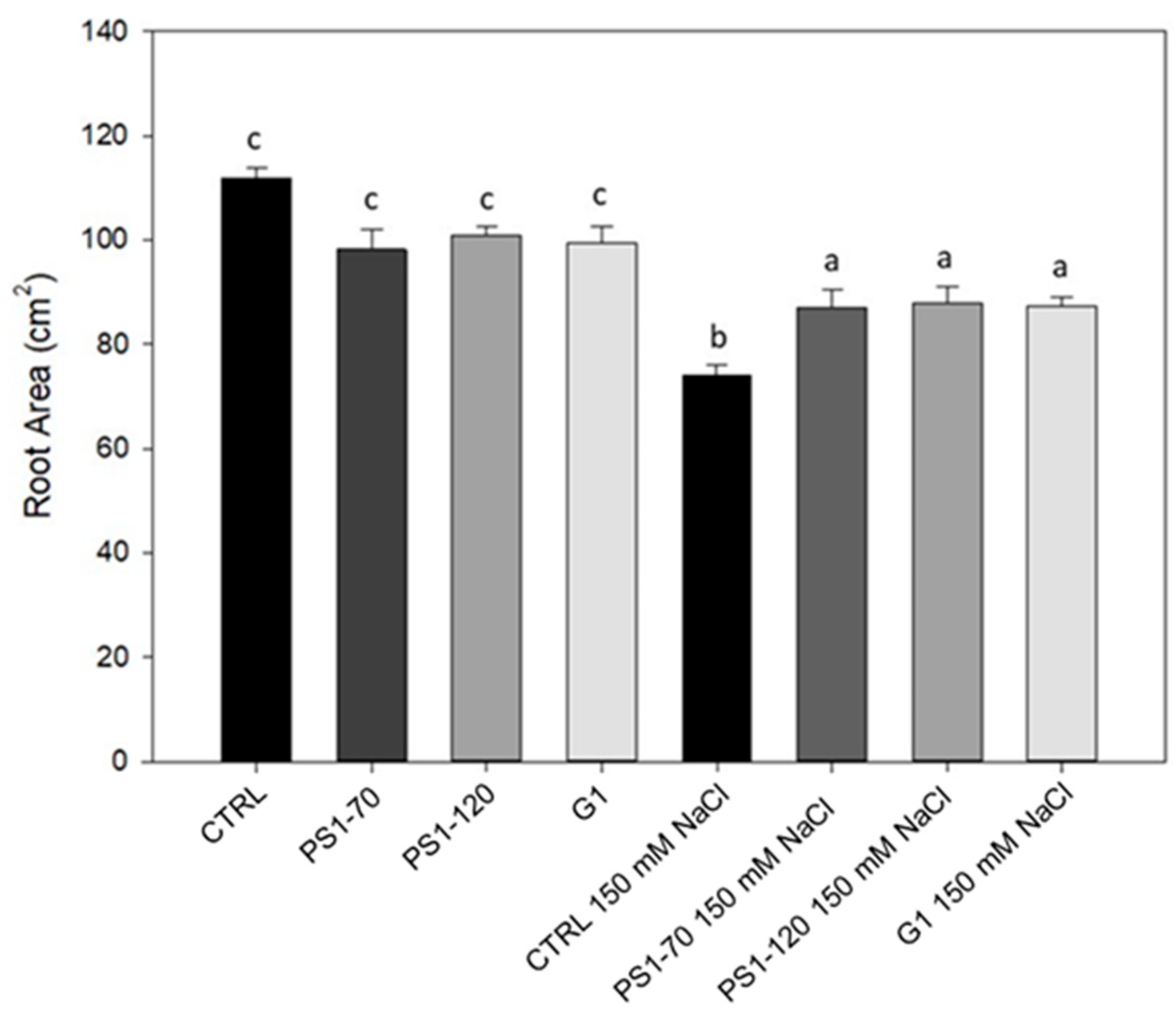 Plants 14 02411 g001