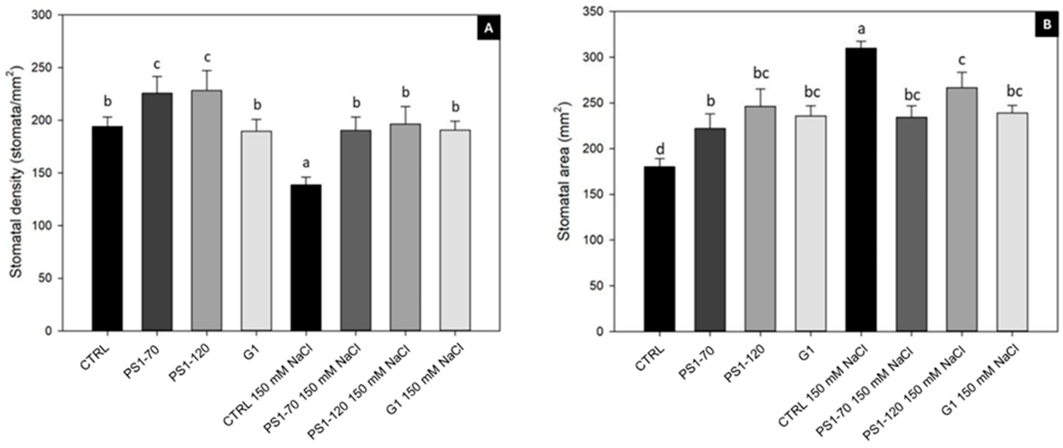 Plants 14 02411 g002