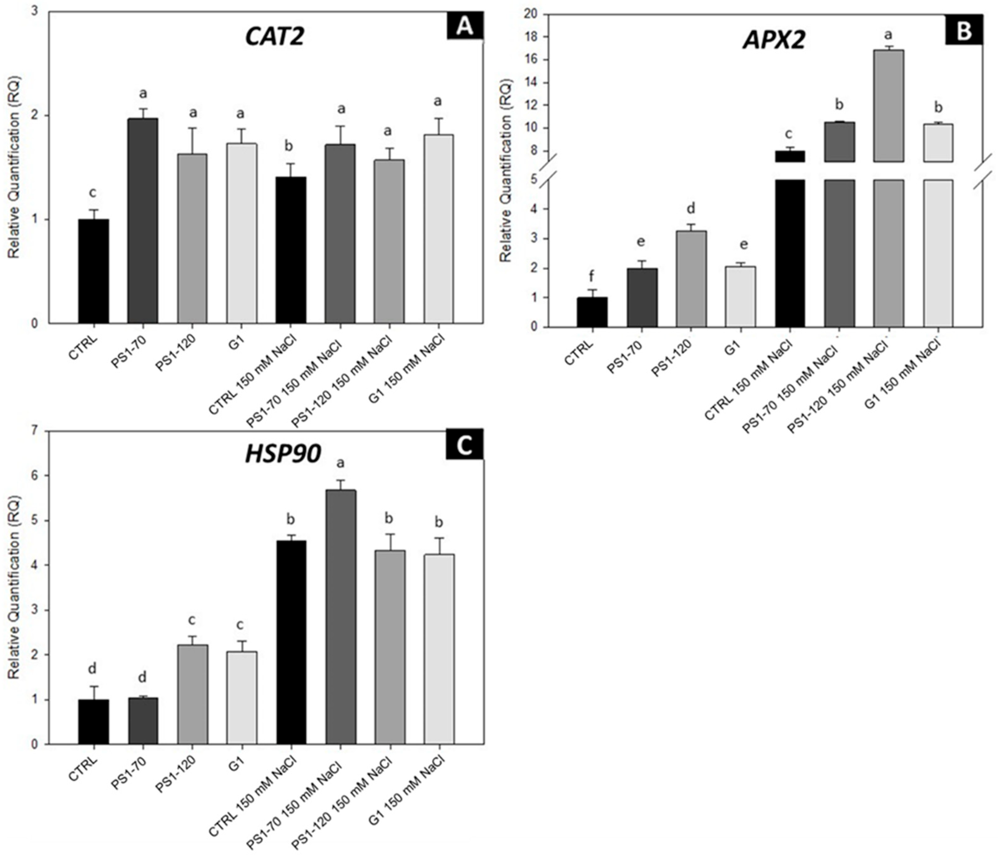 Plants 14 02411 g004
