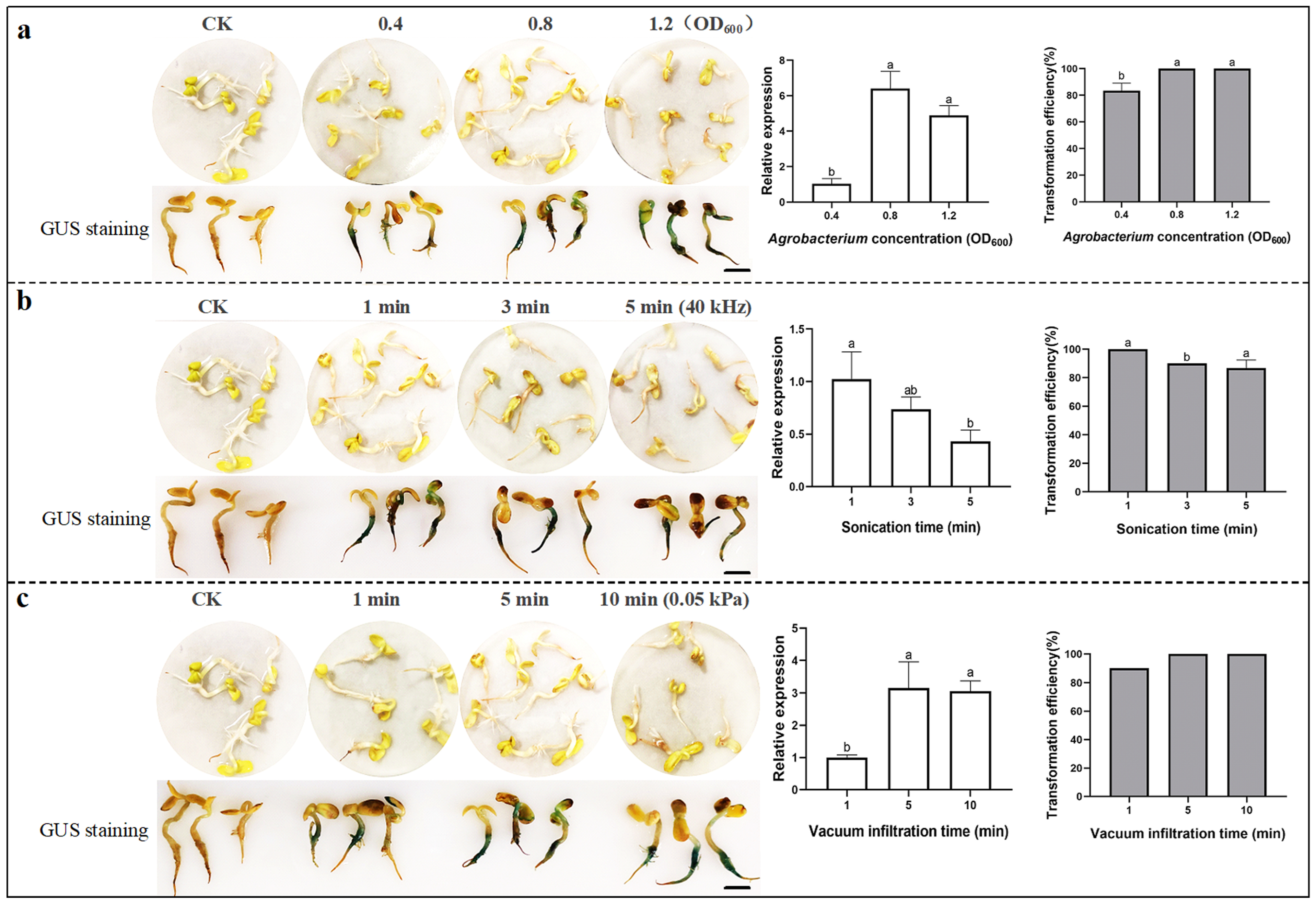 Plants 14 02412 g003