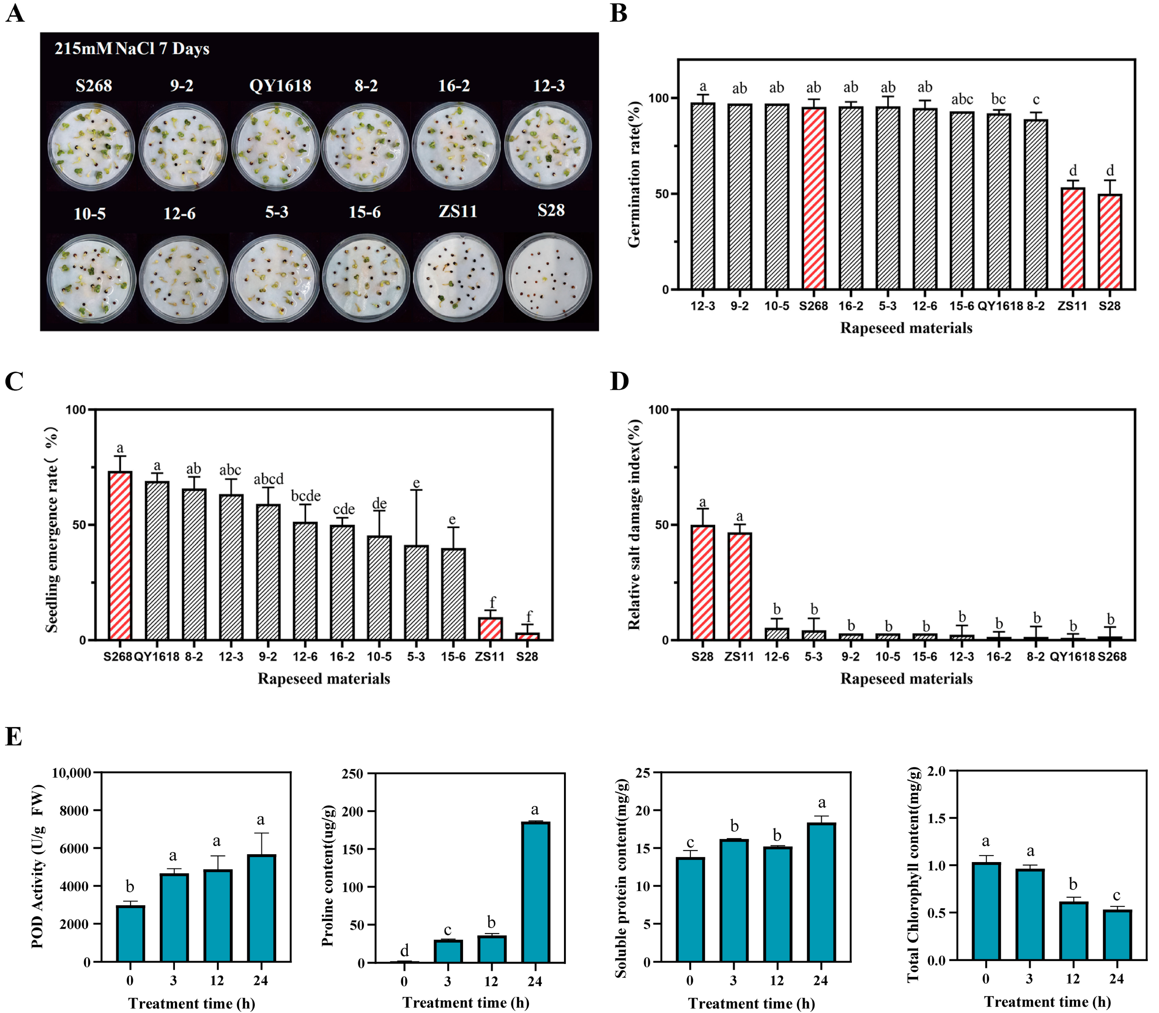 Plants 14 02418 g001