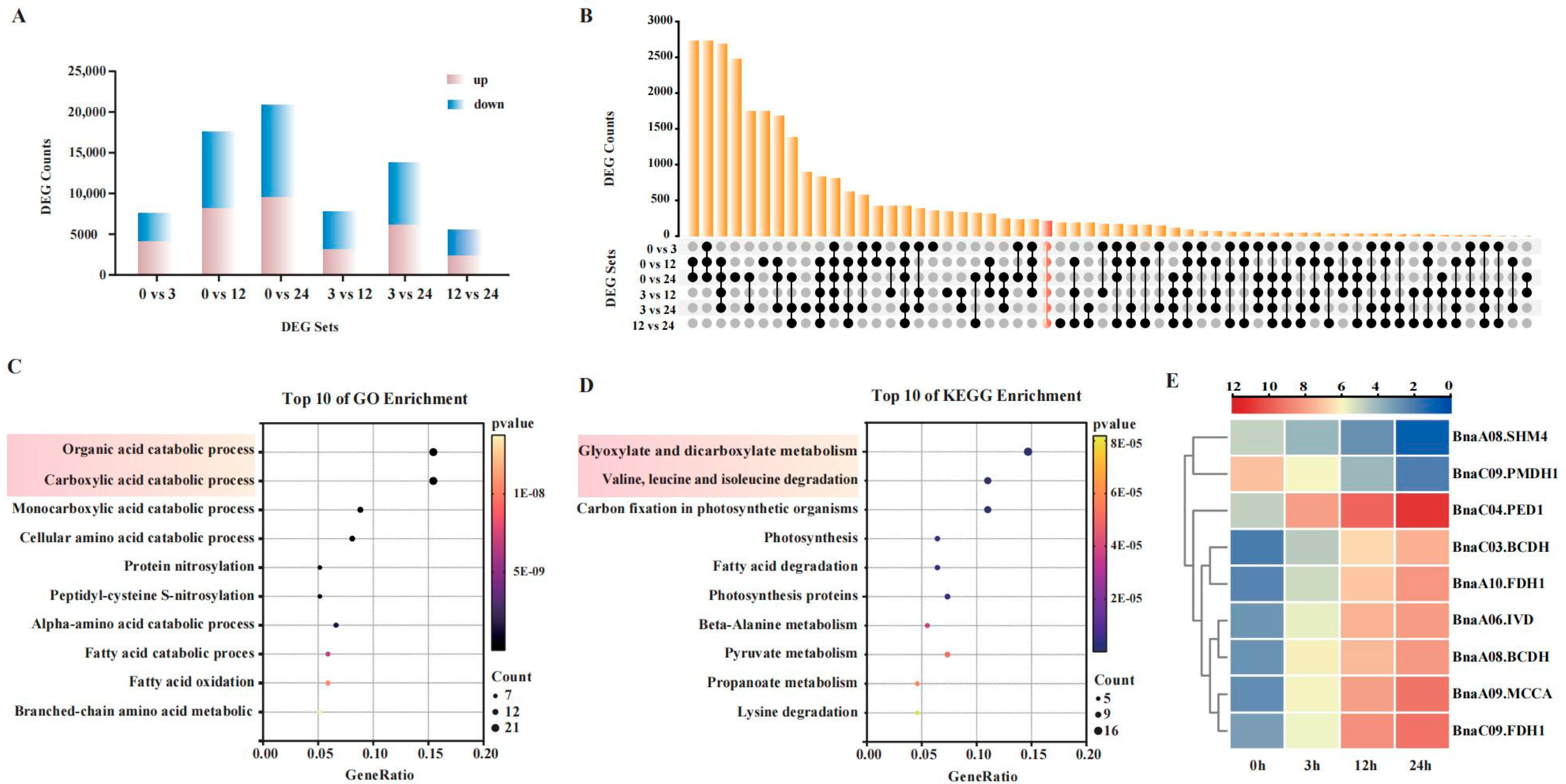 Plants 14 02418 g002